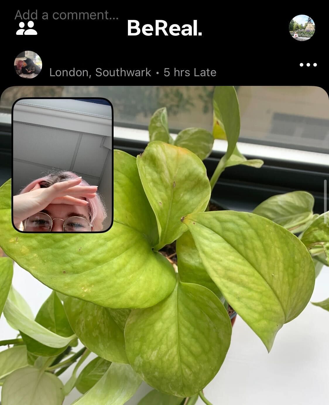 a screenshot of the BeReal app