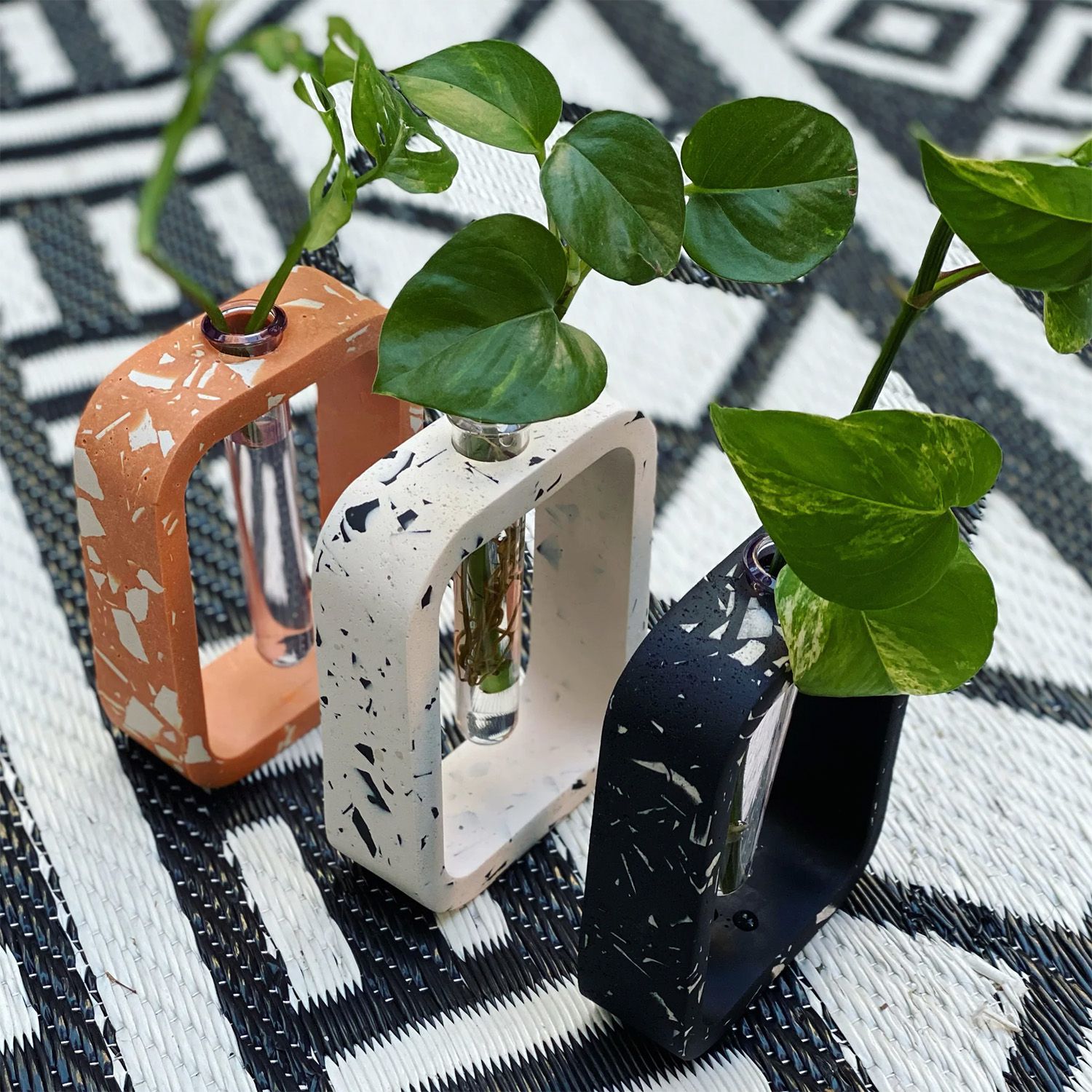Three Amy Price Designs Terrazzo Propagation Stations in terra cotta, white, and black.