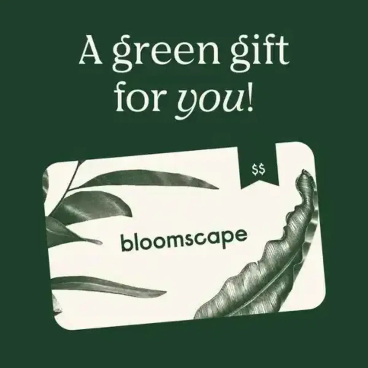 Bloomscape e-Gift Card