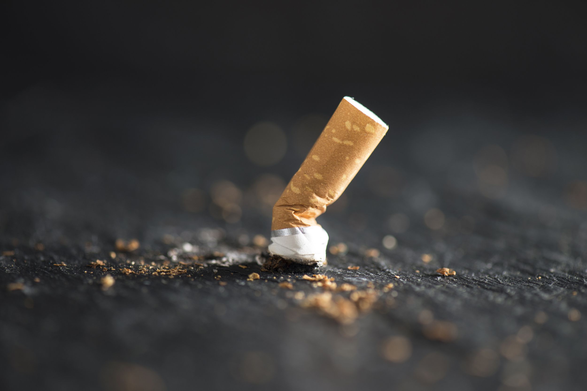 Closeup of a cigarette end smashed on a black slate slab, selective focus, charcoal greys and black blurred in the foreground and background