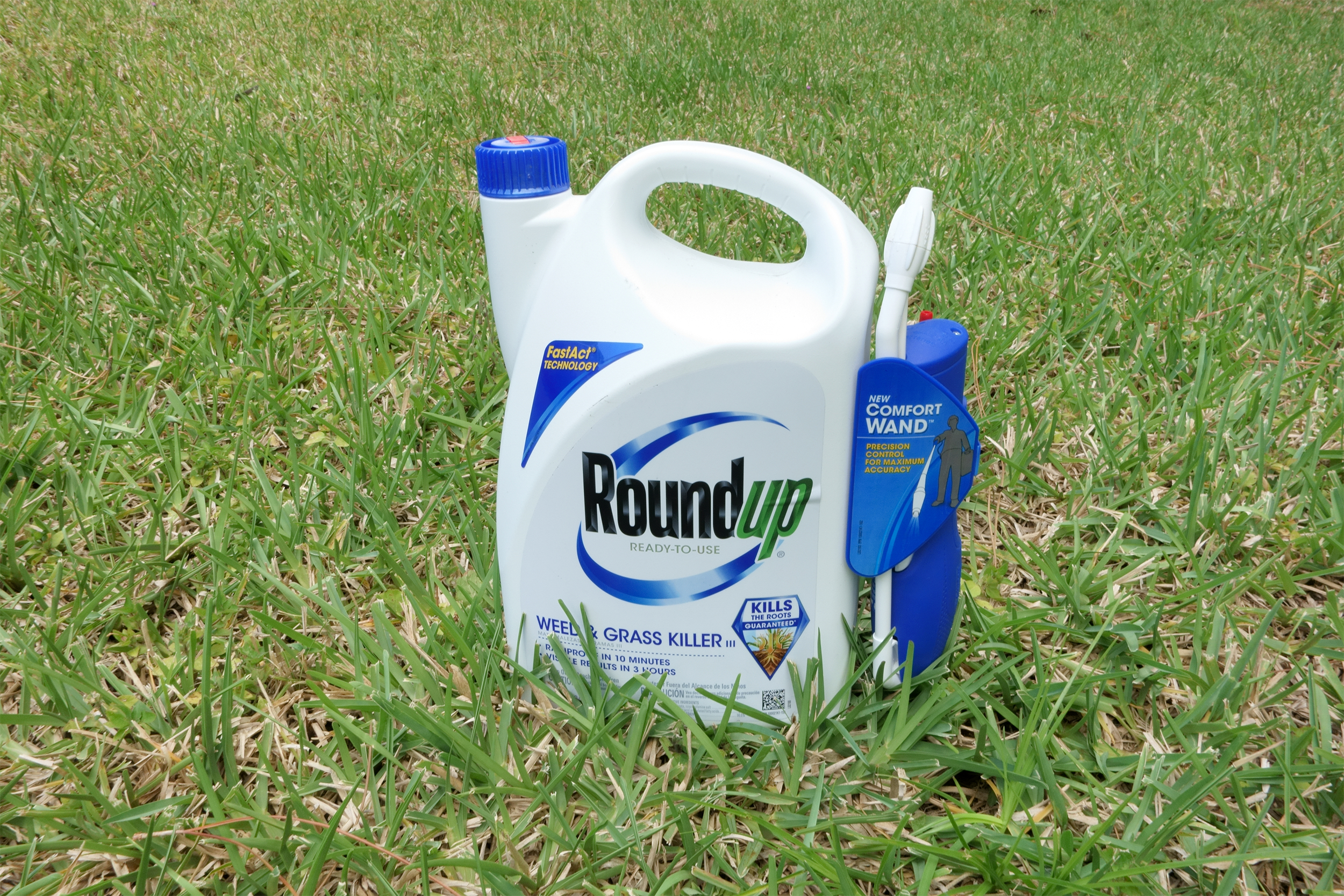 A white bottle of roundup weed and grass killer with wand on a grass lawn