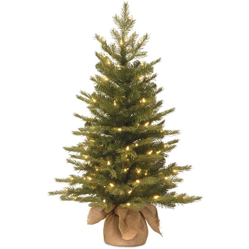 The Tiny Tree