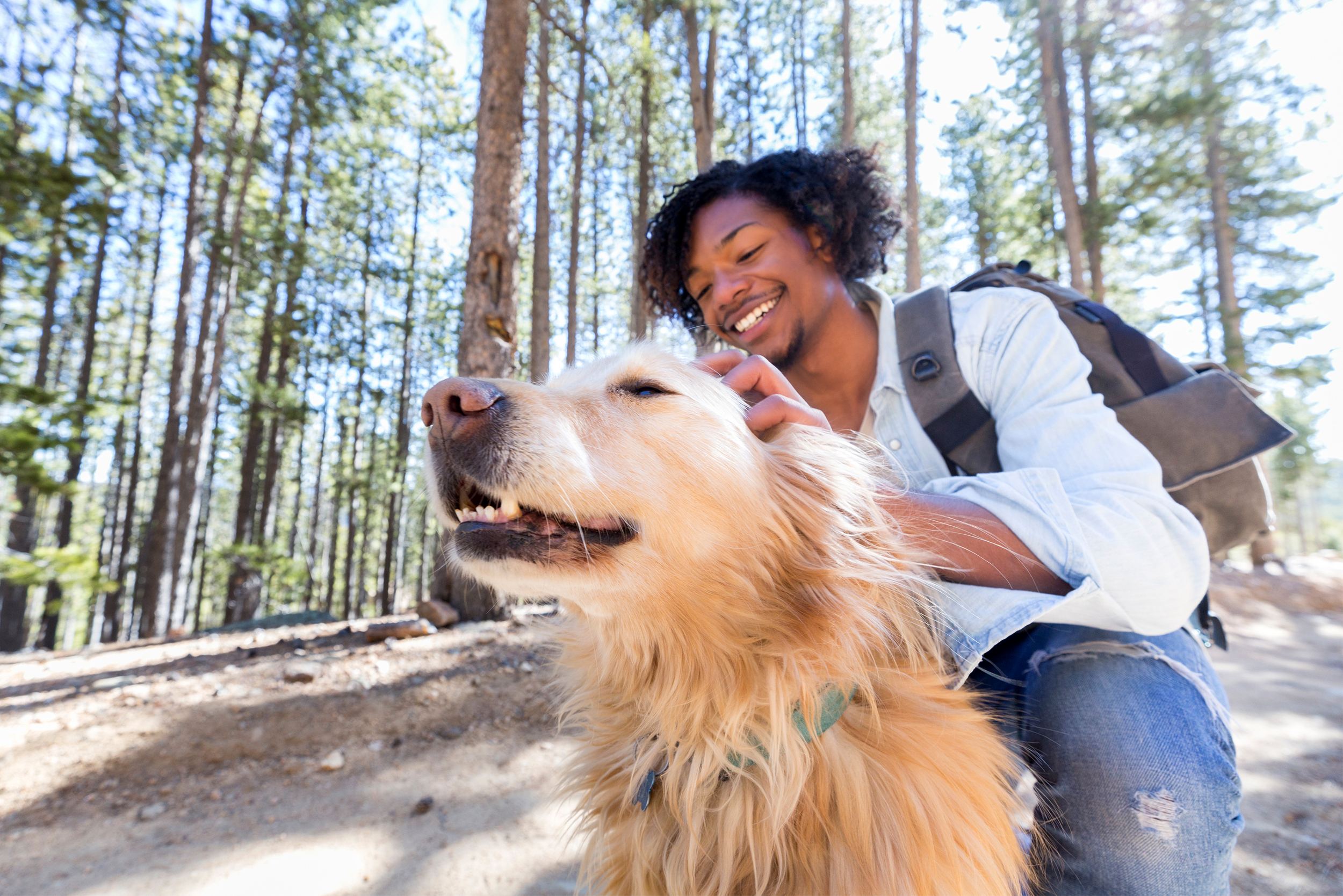 happy man petting dog