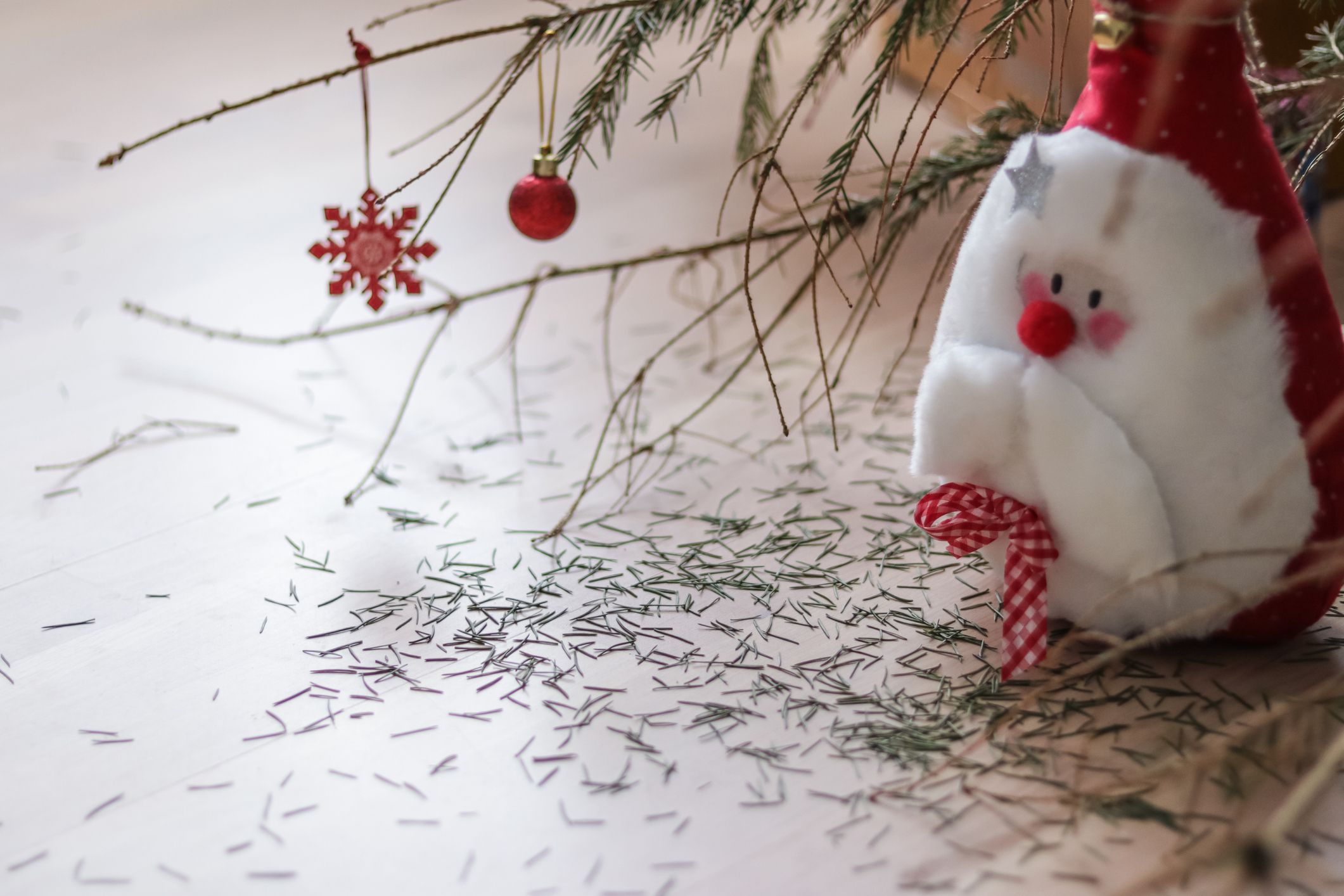 Santa claus soft toy under the Christmas tree with needles crumbling