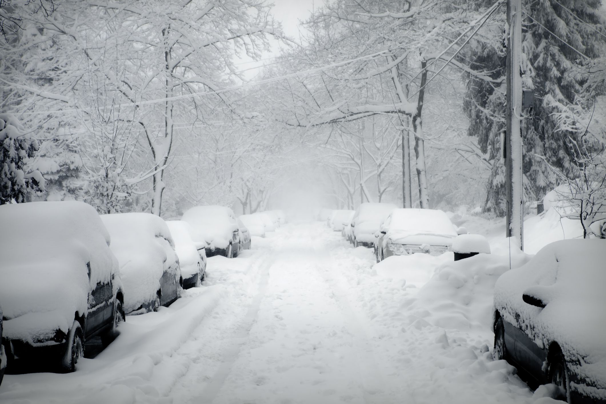 Blizzard covered road.