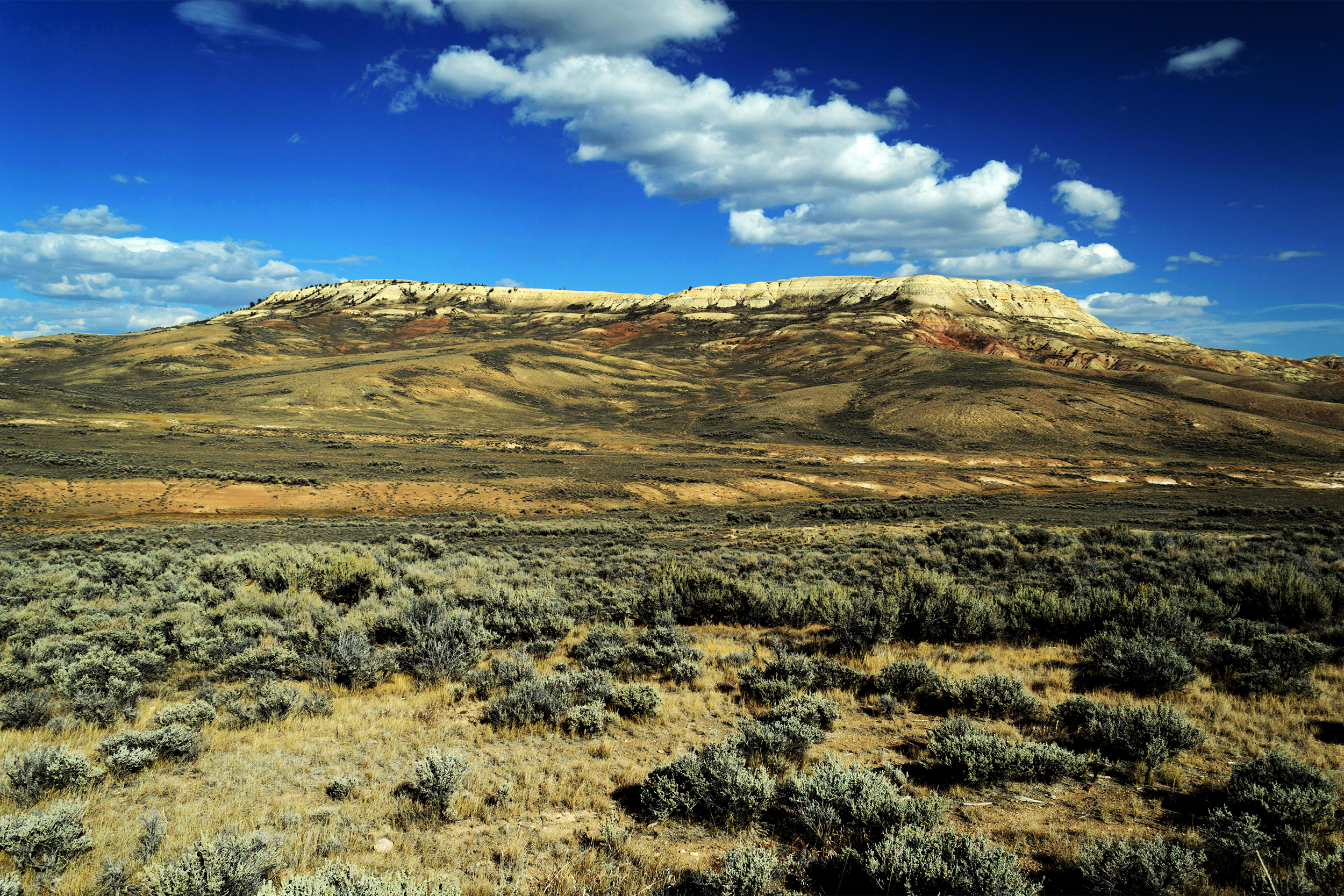 Fossil Butte