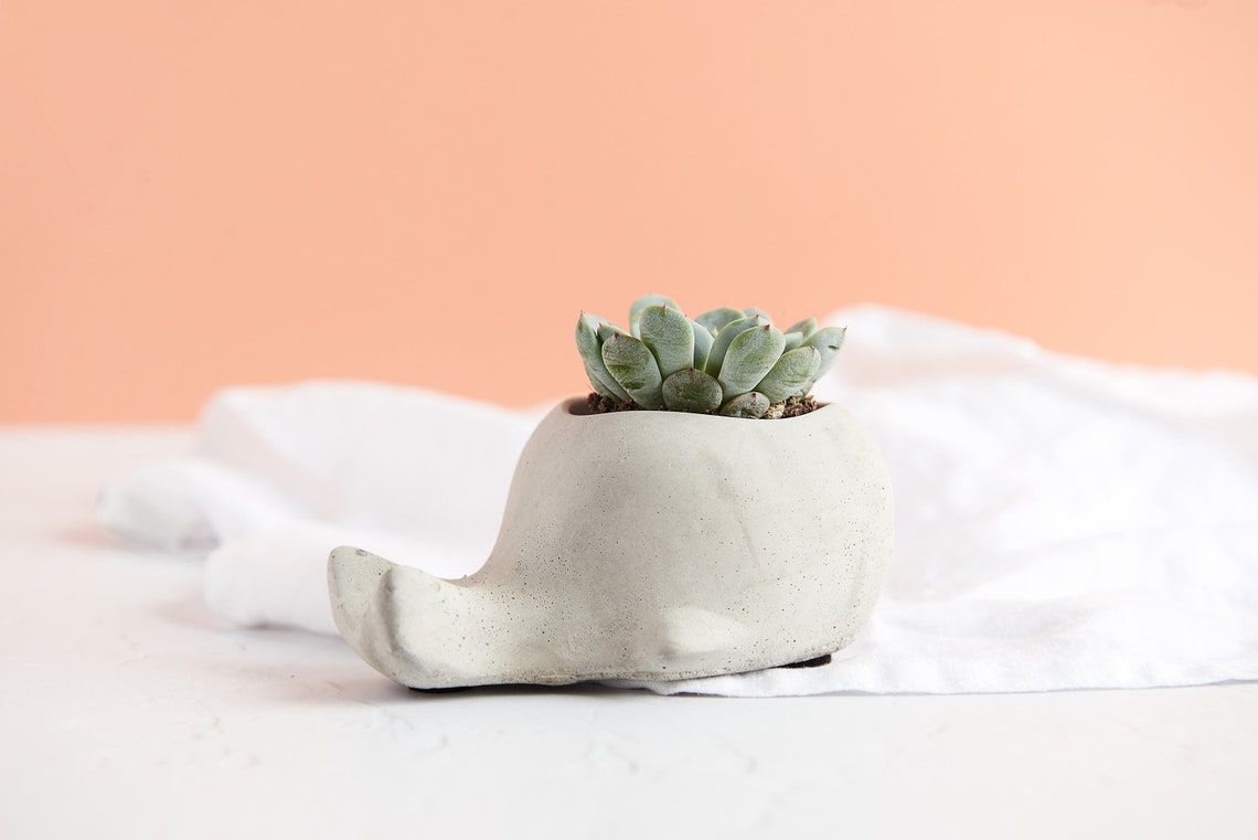 Concrete Whale Planter