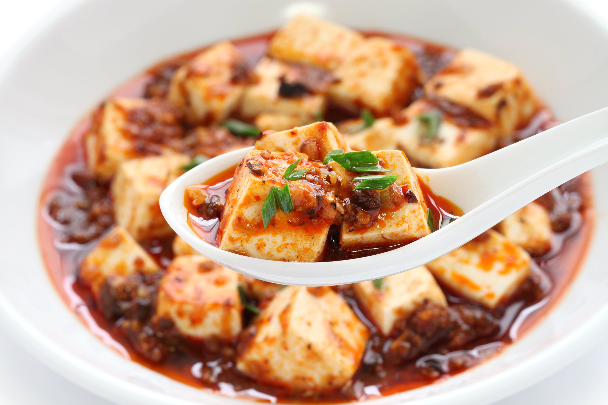 Mapo Tofu