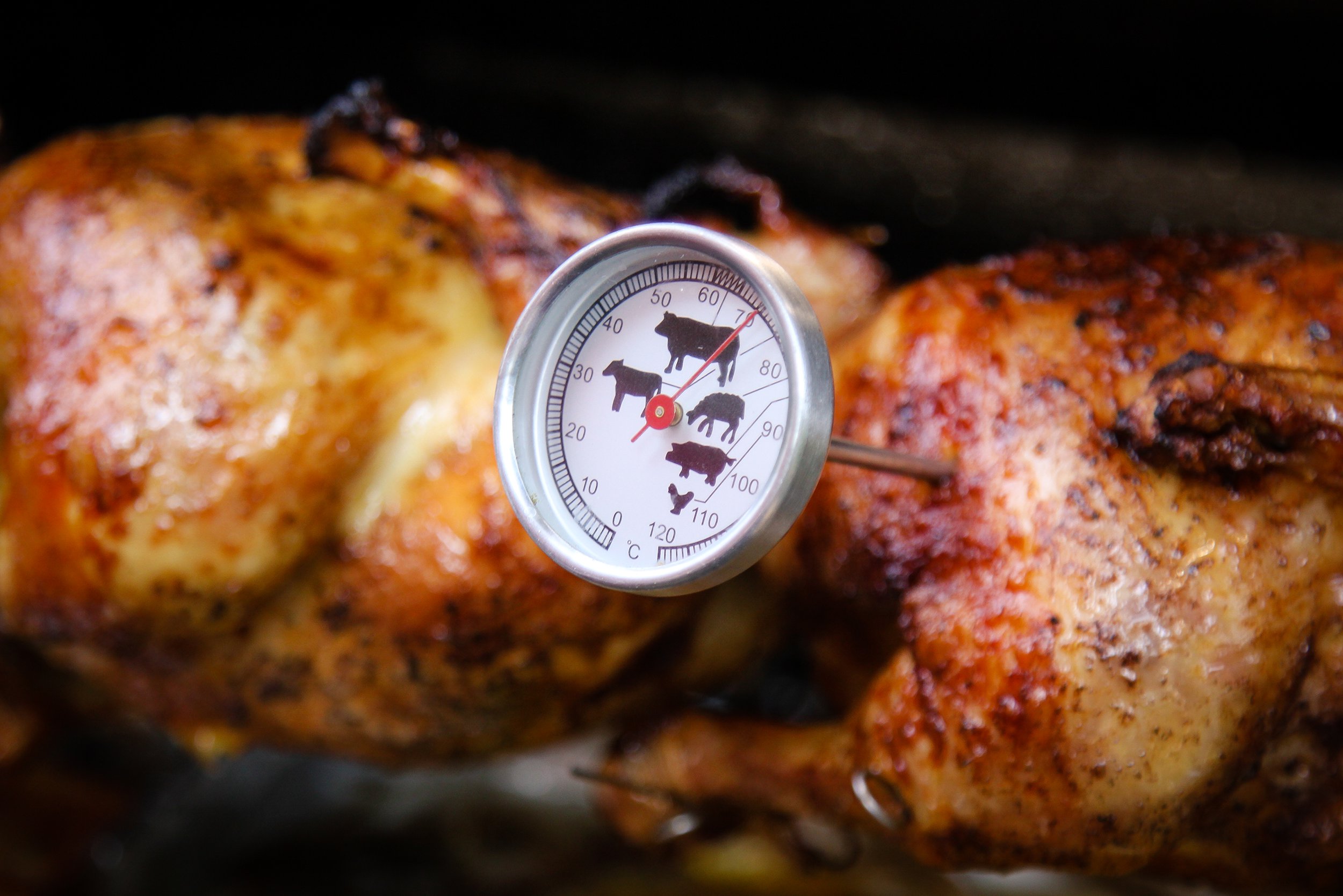 Meat thermometer in grilled chicken