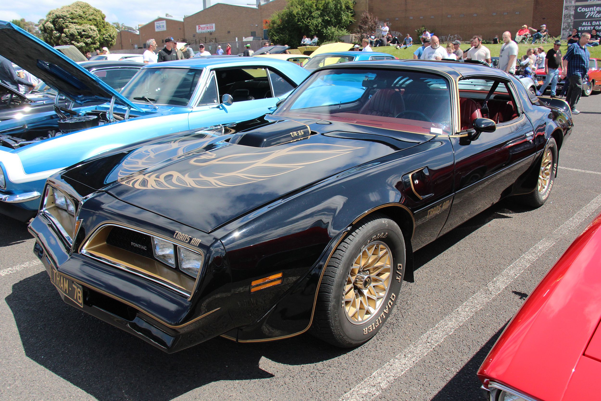 1977 Pontiac Firebird Trans Am