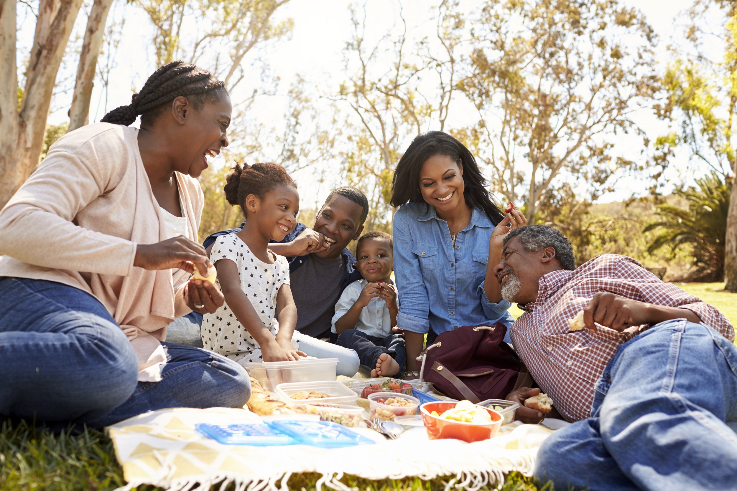 Family on a picnic