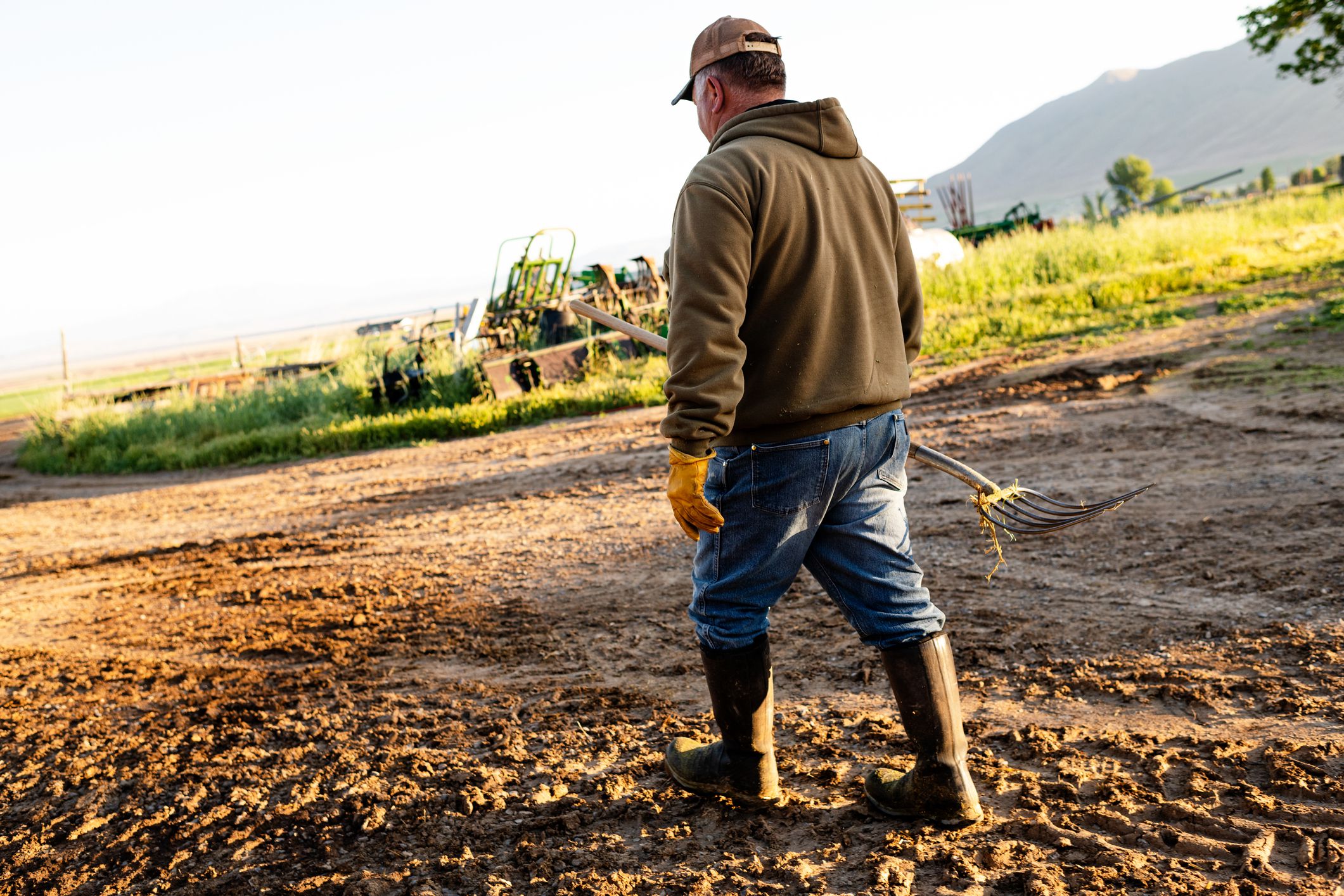 Dairy farmer walking with fork used to feed cows early morning, walking in dirt and mud with hay farm and mountain in the background