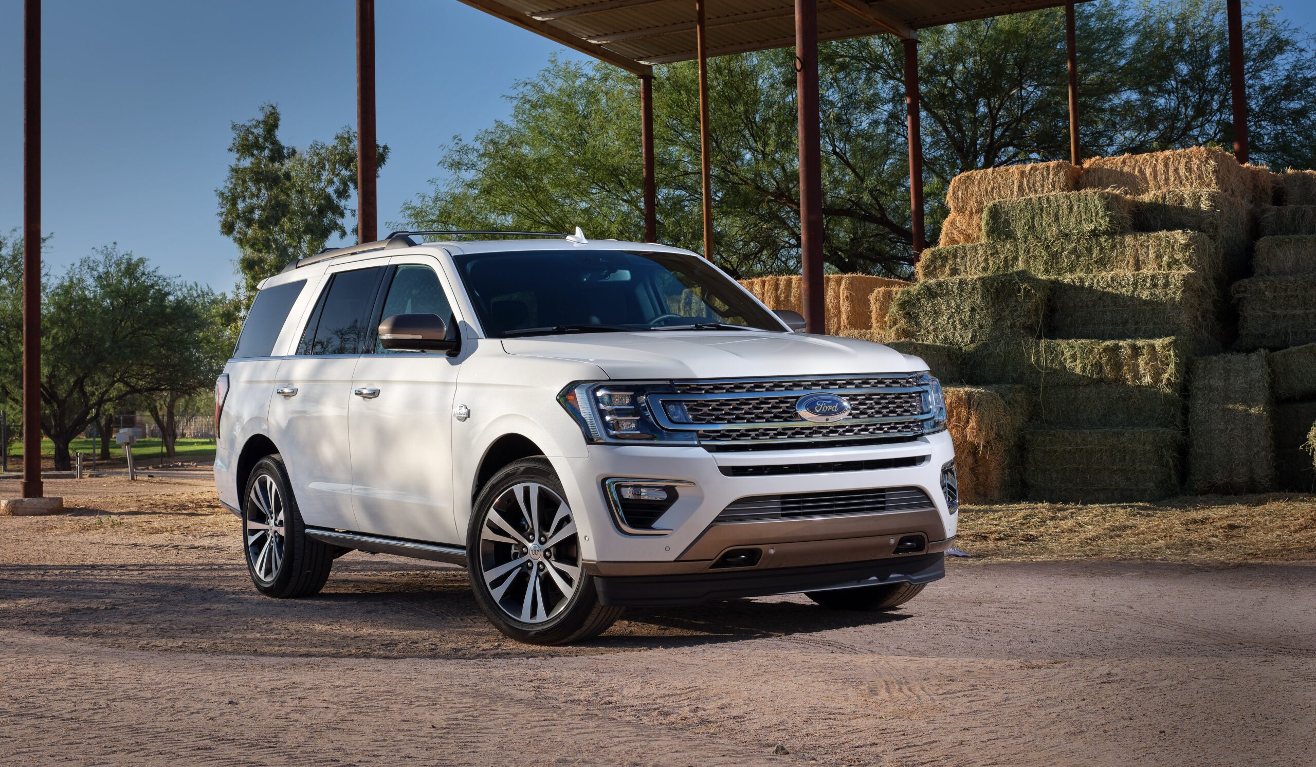20. Ford Expedition