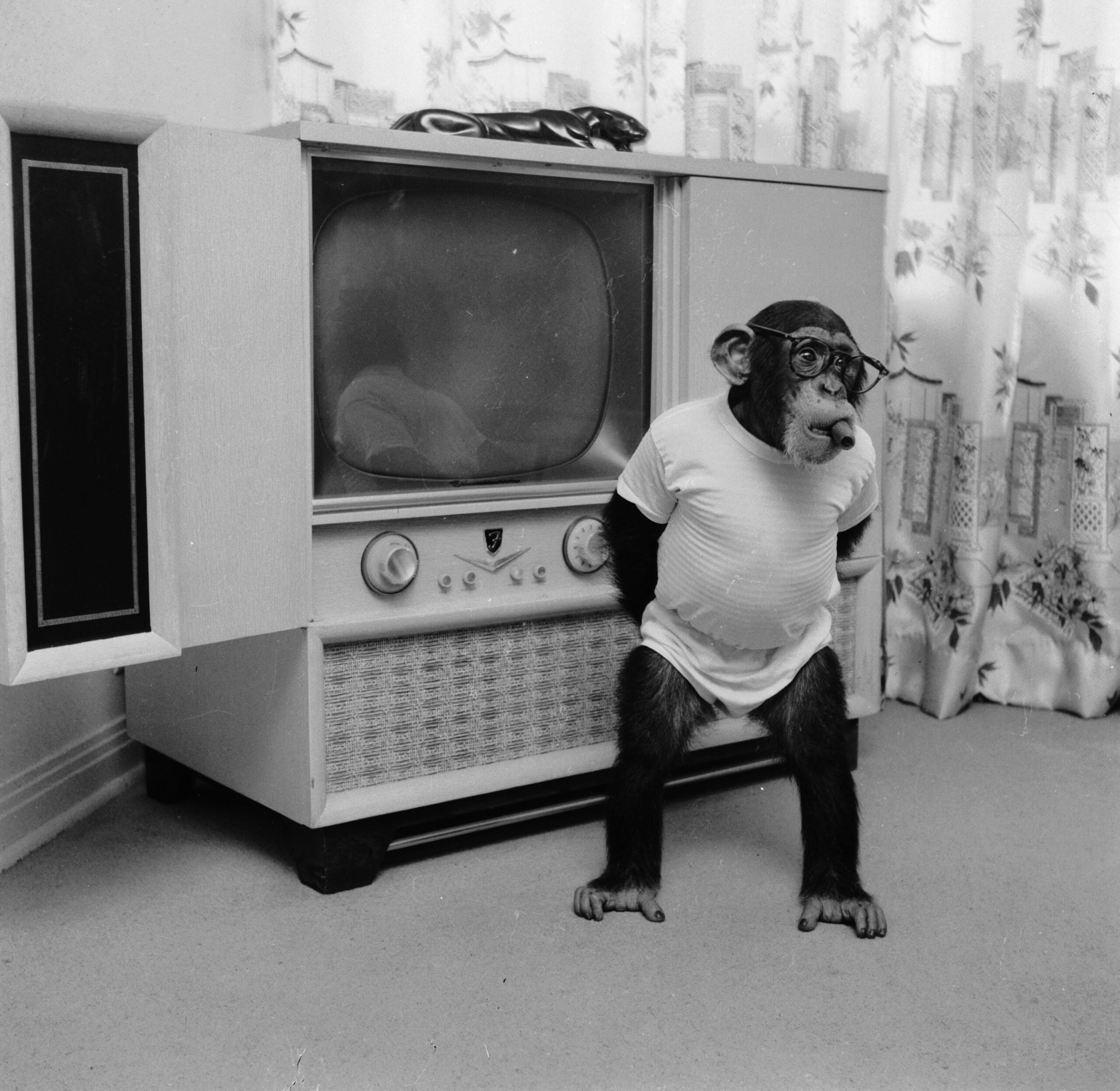 chimpanzee dressed up in clothes, wearing glasses and smoking a cigar