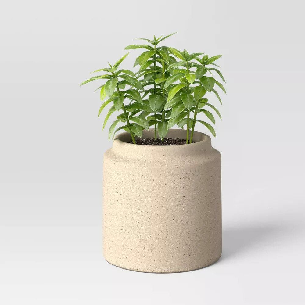 Indoor/Outdoor Planter
