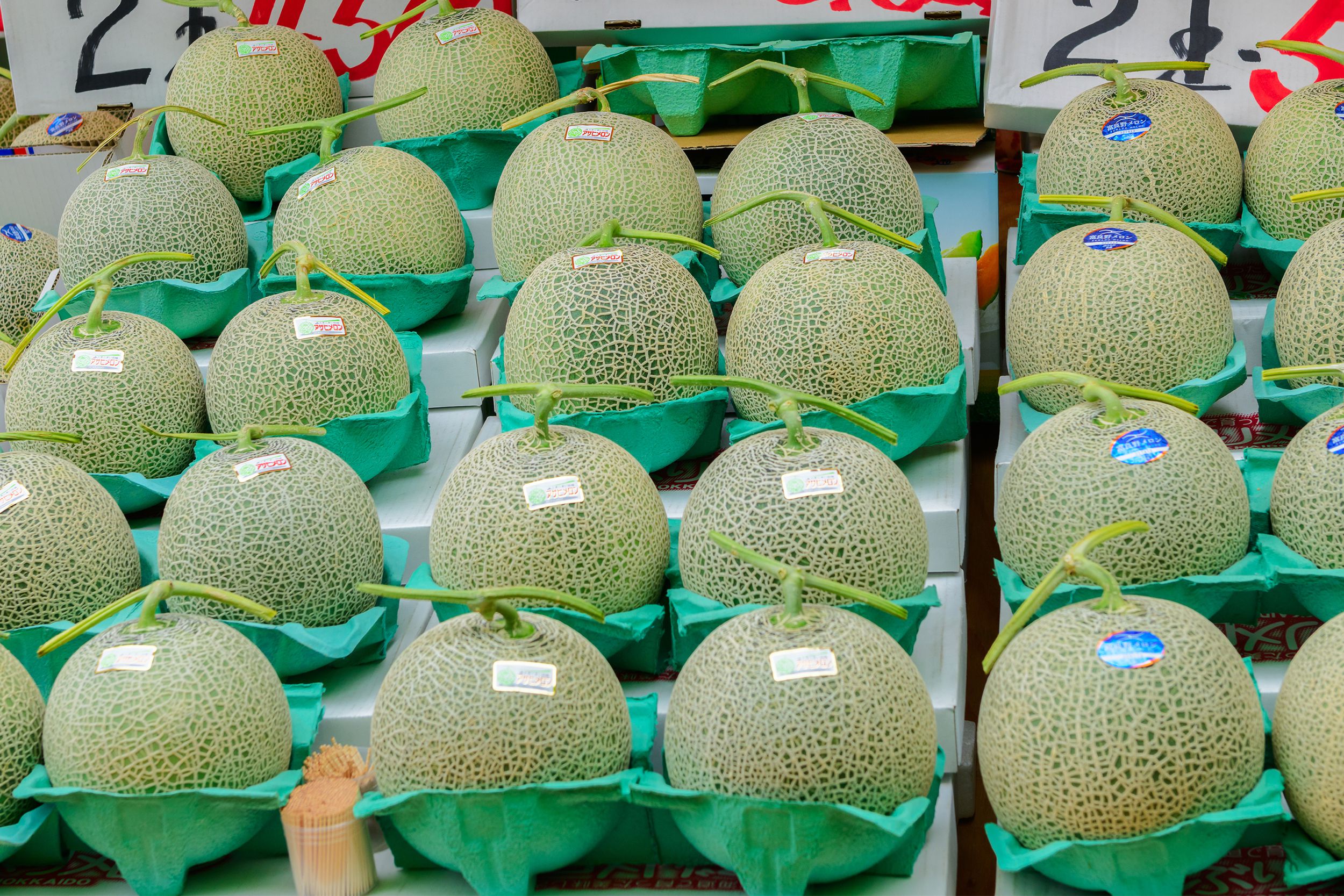 Japanese Melons
