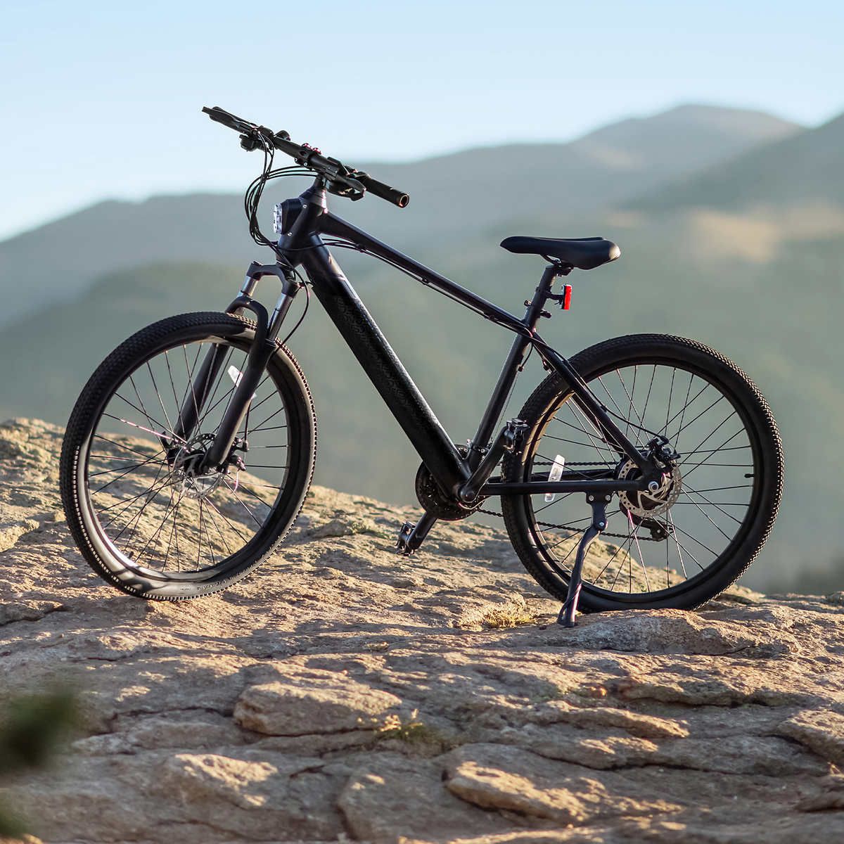 Jetson Adventure Adult Electric Bike