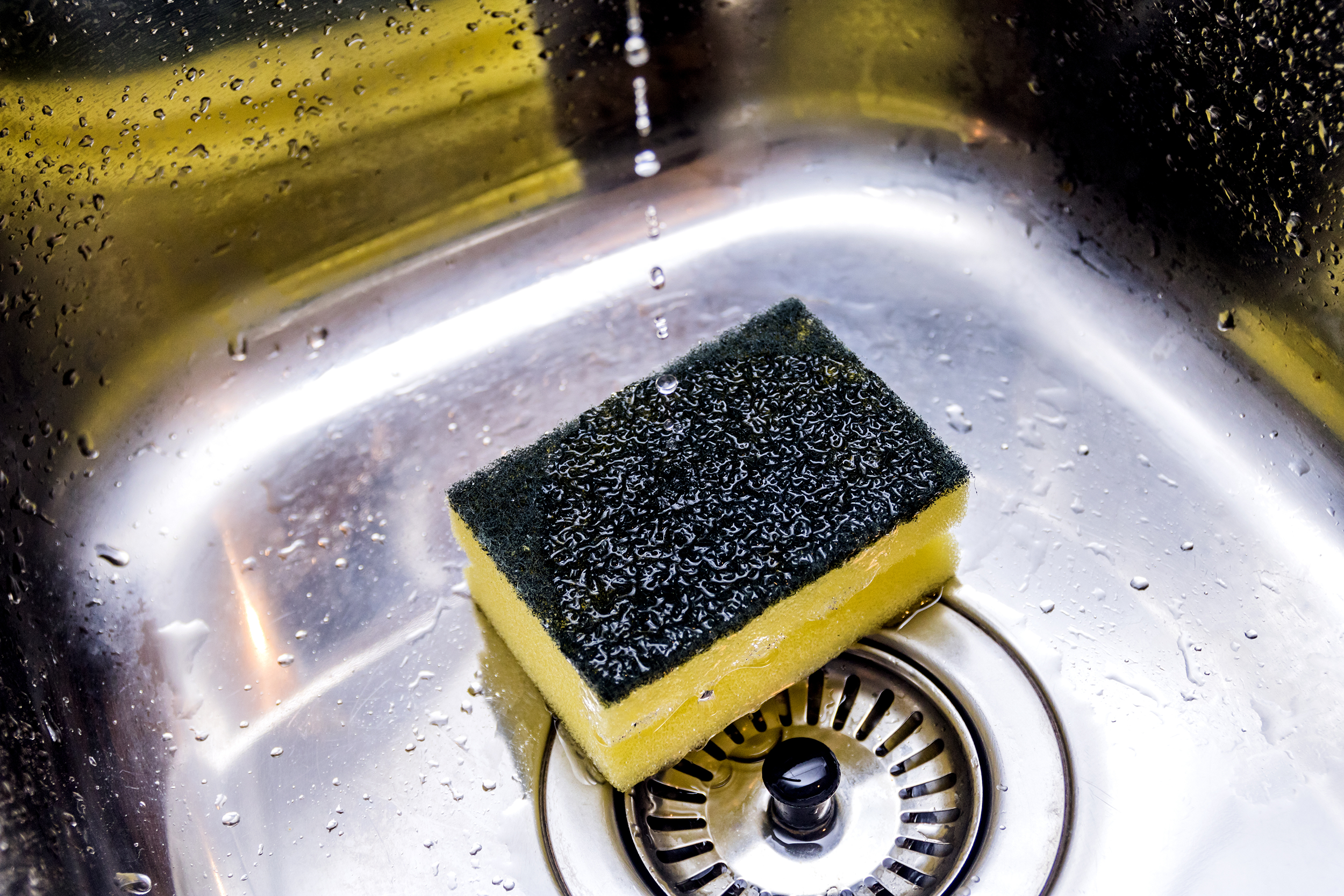 Sponge in kitchen sink