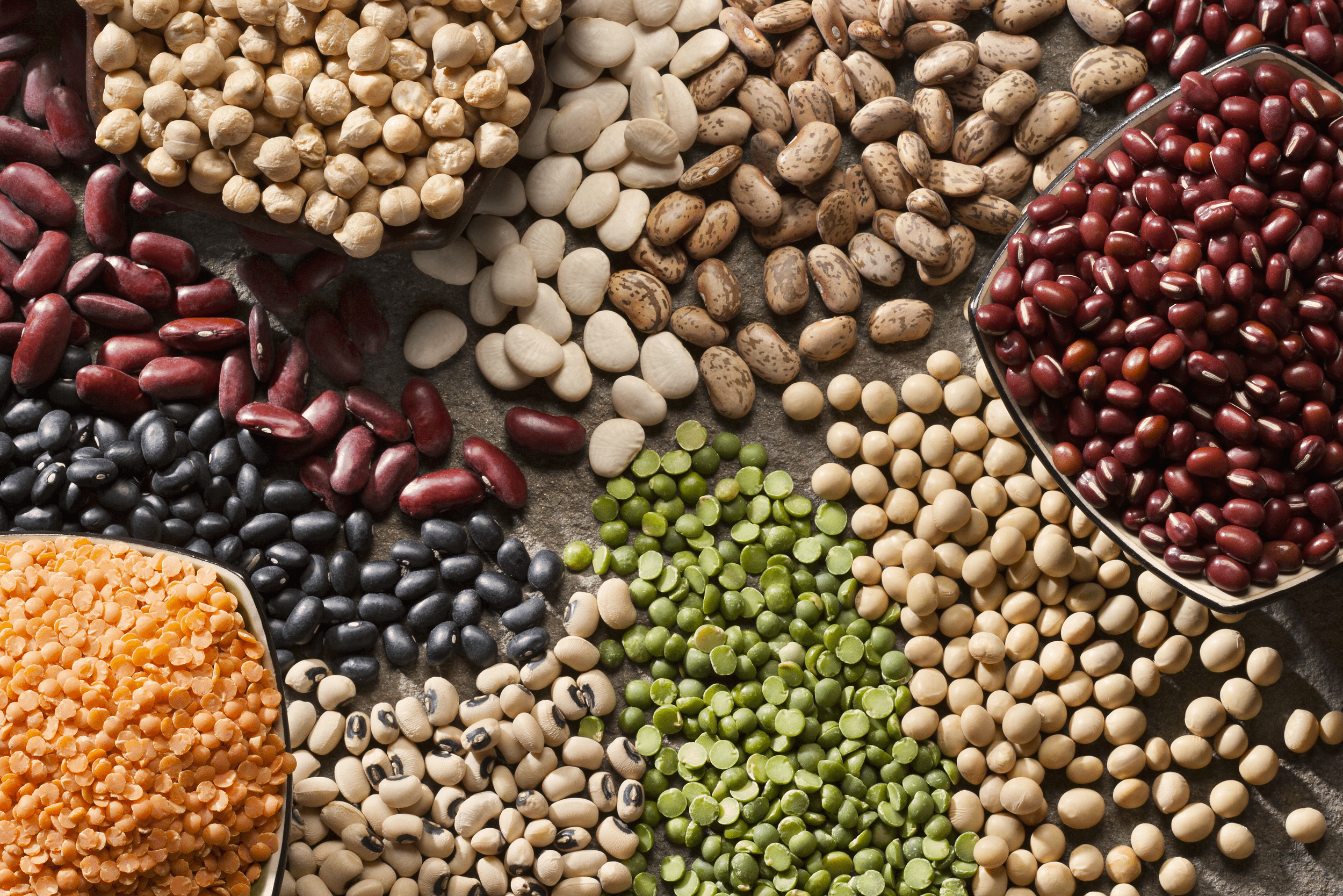 Several different kinds of beans and lentils in piles, kidney beans, black beans, chick peas, yellow lentils, and more, three are in square bowls, all are on a table