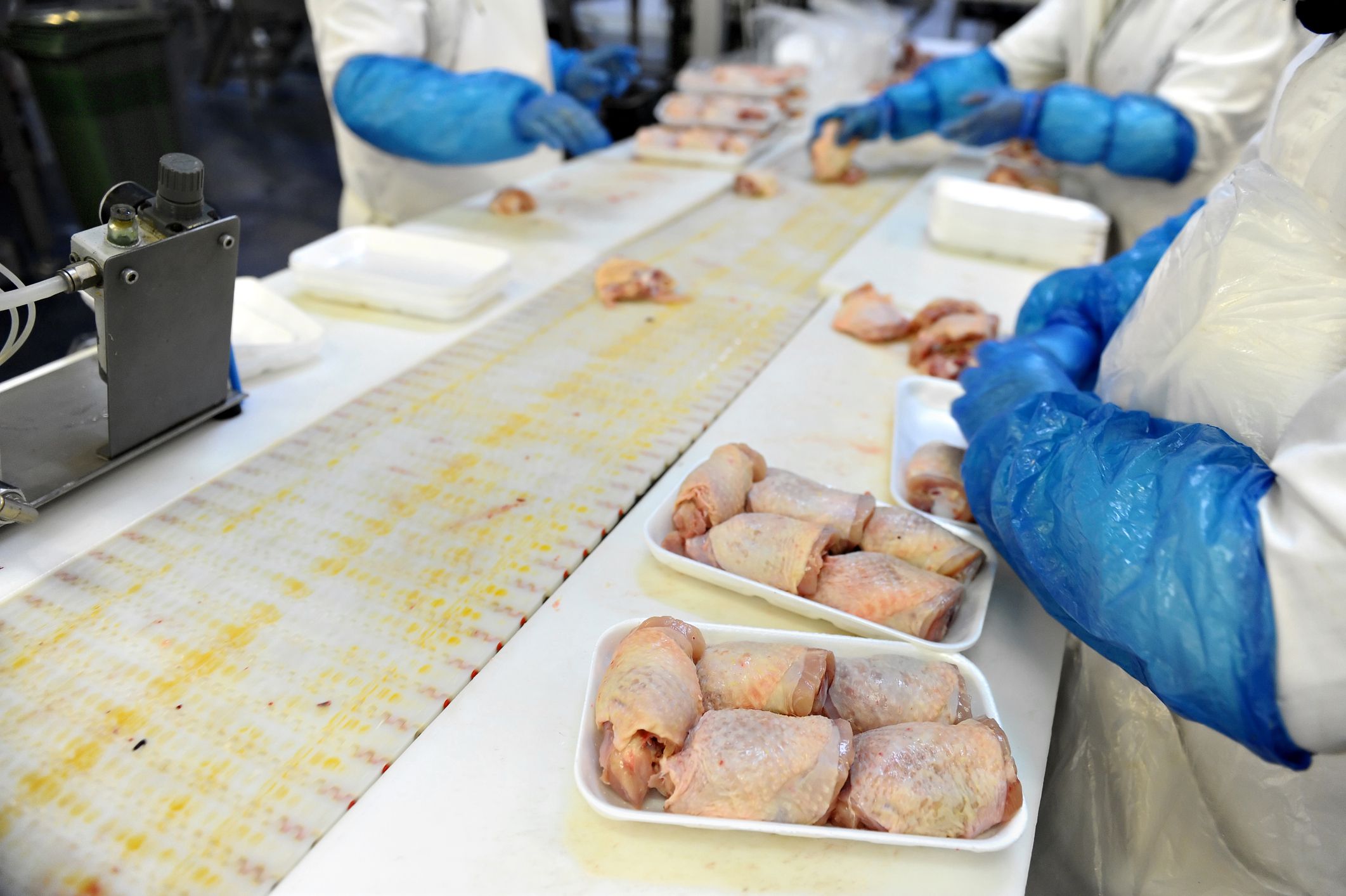 Three people packaging meat at a meat processing plant, people are putting chicken breasts in Styrofoam containers, are wearing protective gear