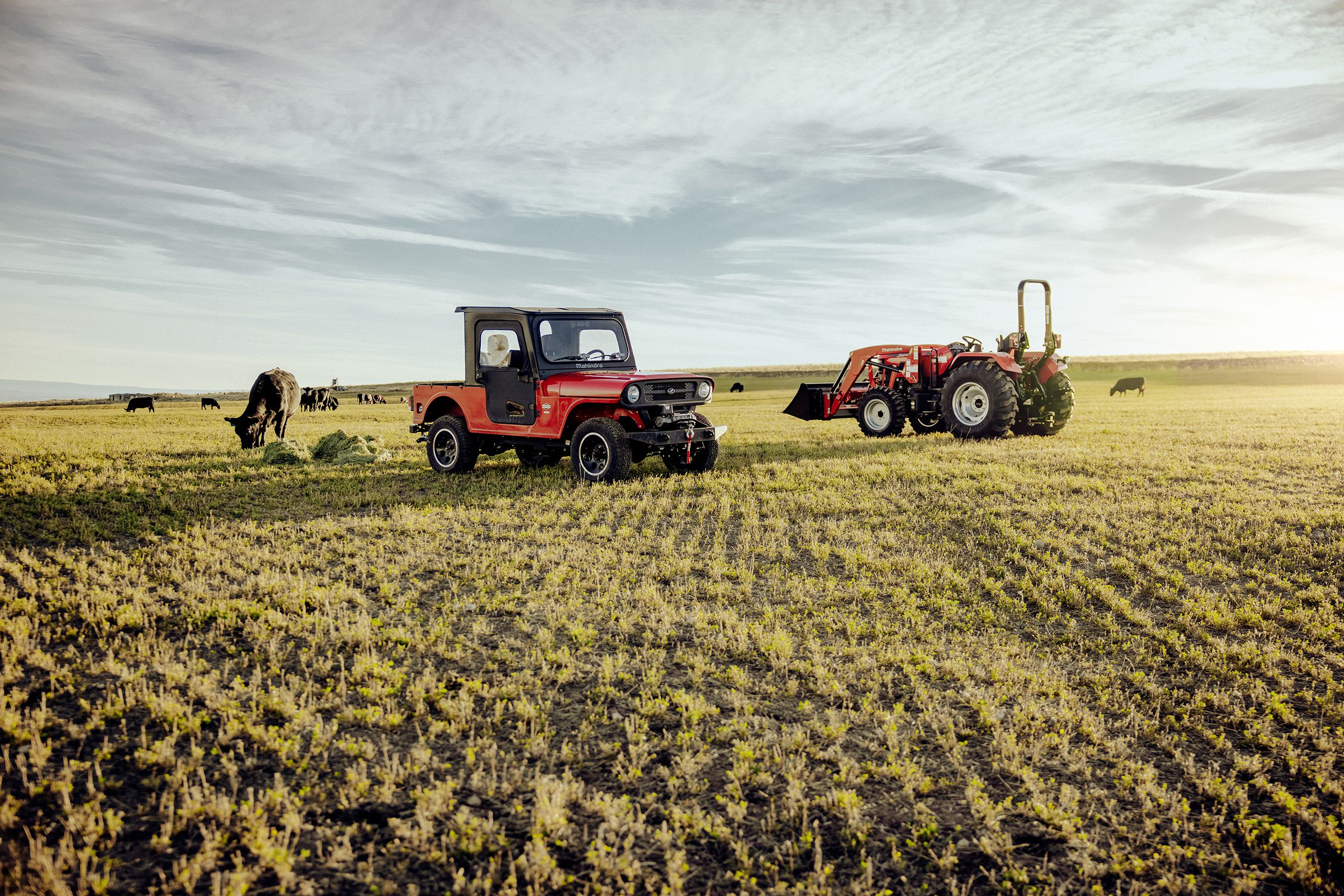 Mahindra