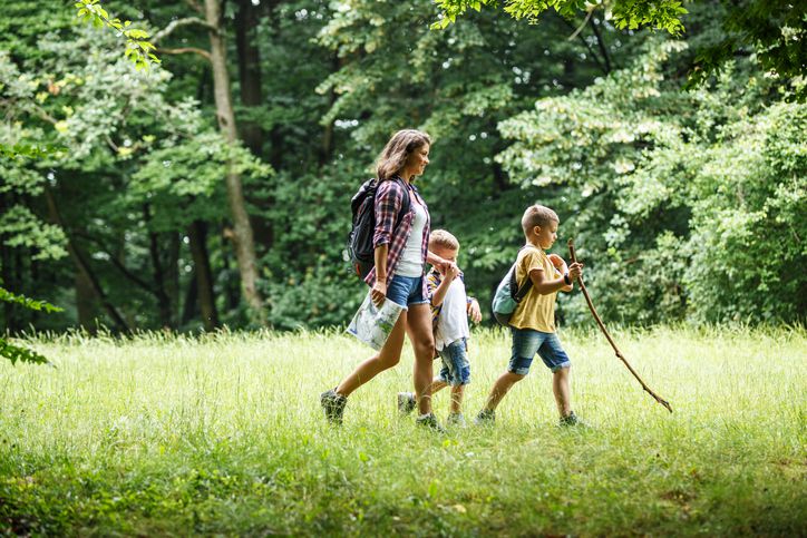 A woman and two young boys with backpacks walk through a sunlit grassy clearing surrounded by trees, one boy holding a walking stick. The group appears to be hiking outdoors.