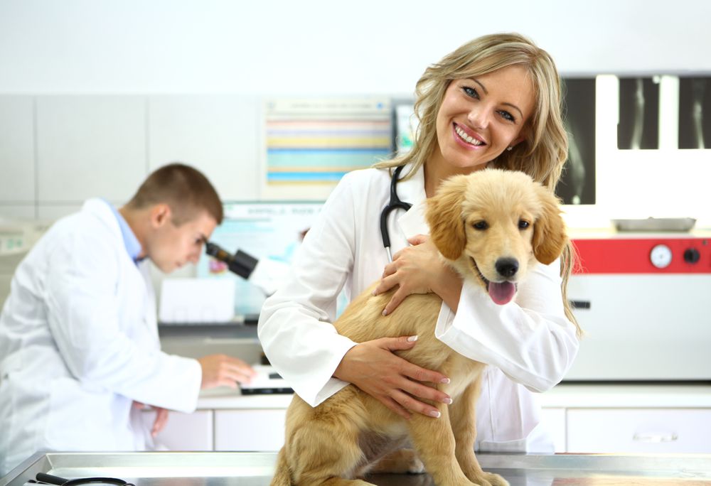 Smiling vet with healthy dog.
