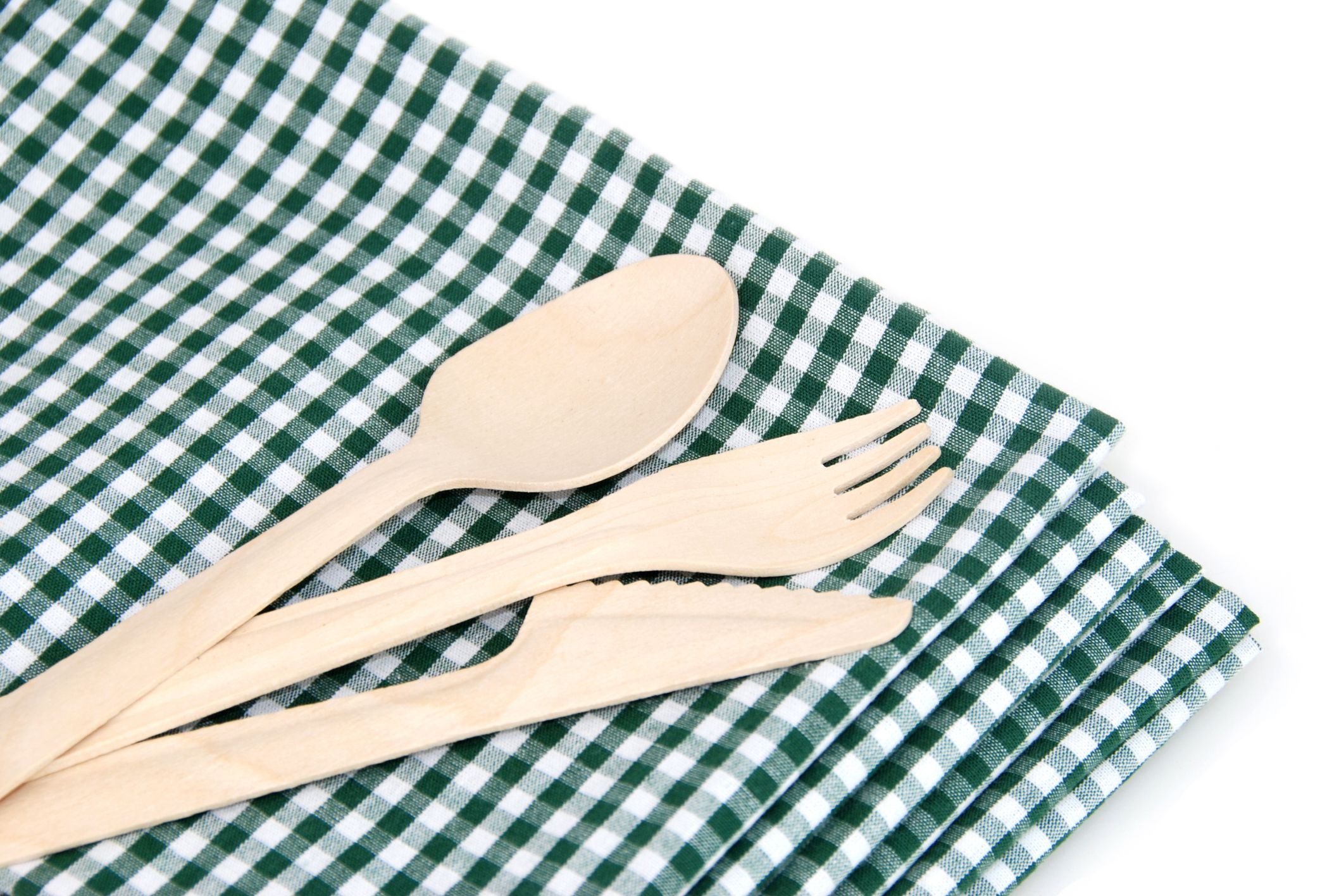 Utensils and Dwellings Will Be Made of 'Pulp'