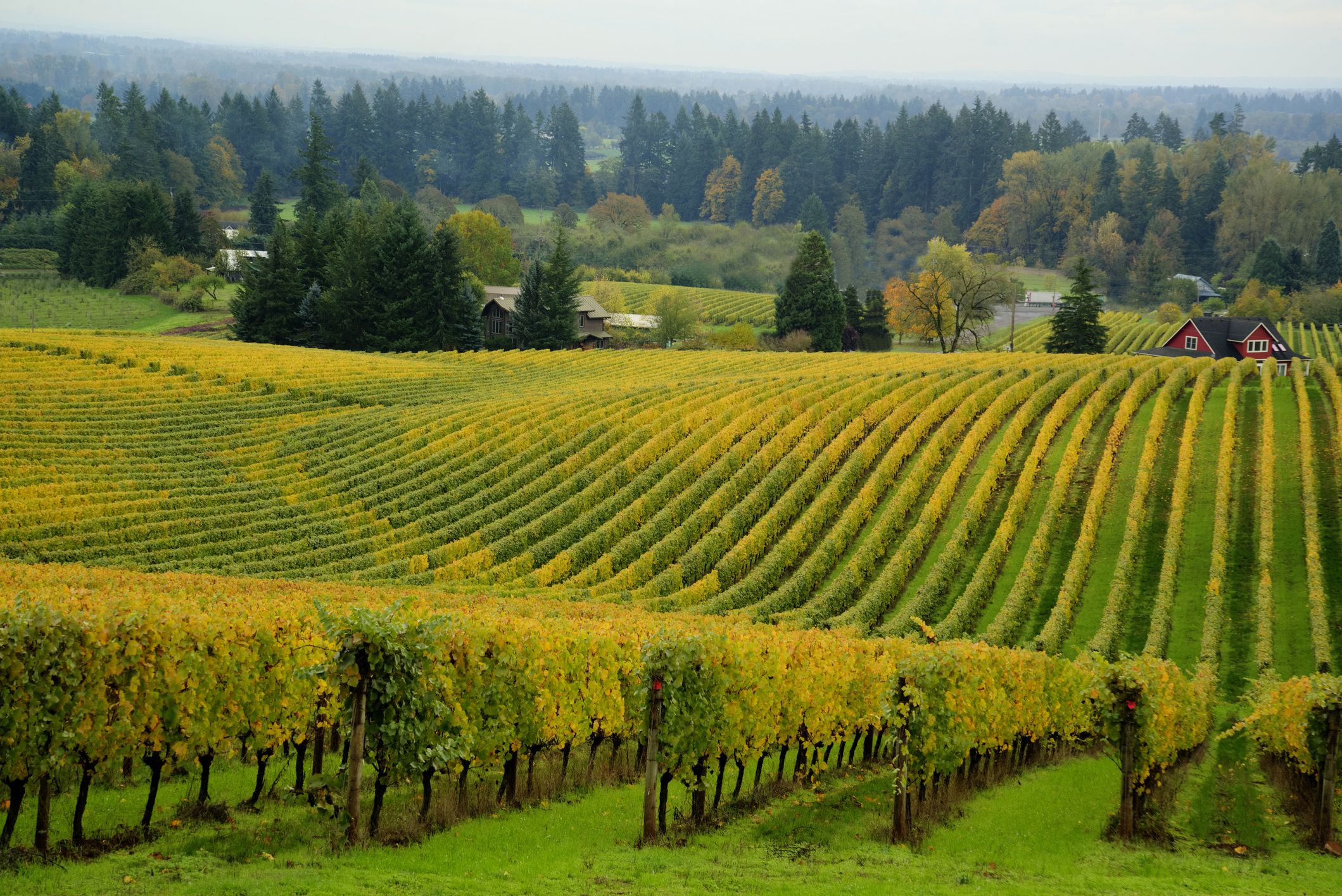 Willamette Valley, Oregon