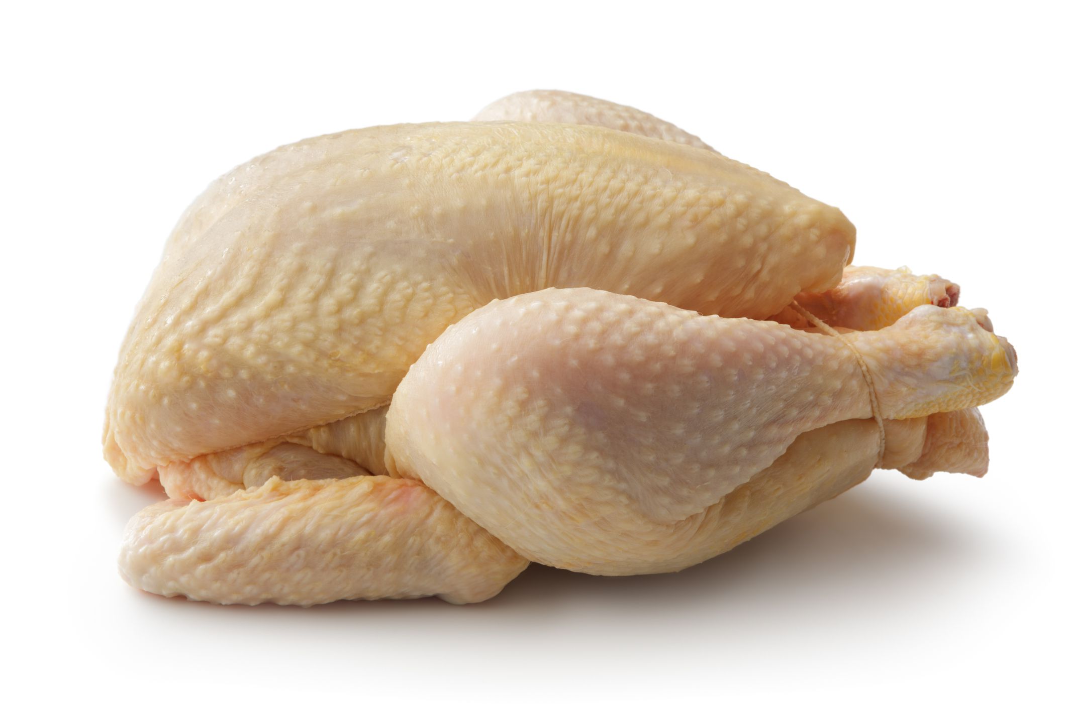 http://www.stefstef.nl/banners2/poultry.jpg