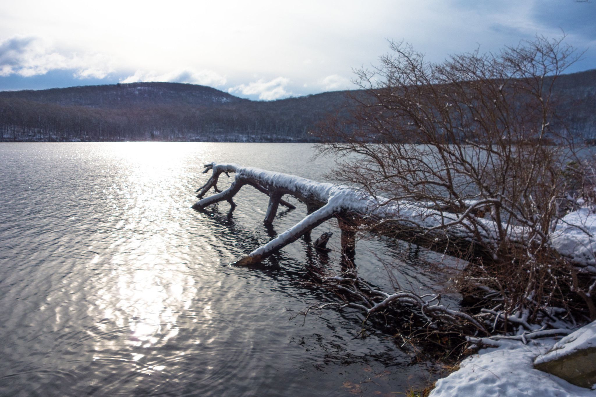 Fallen tree, with snow on top, in Silver Mine Lake.