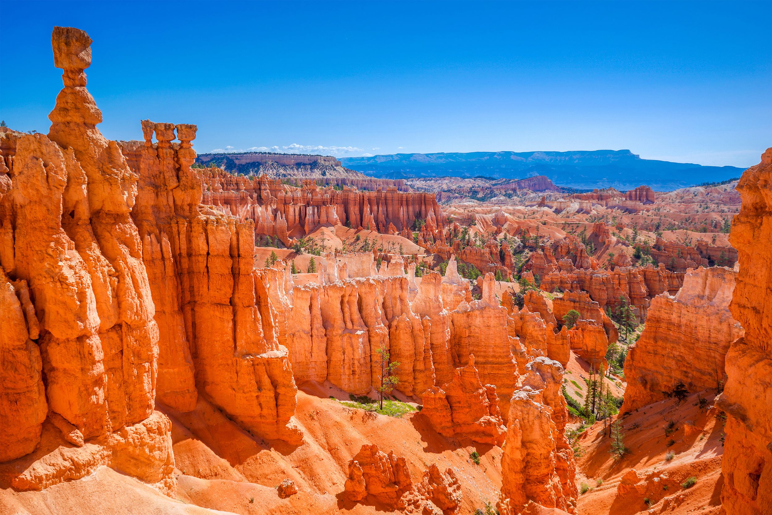 Aerial of Bryce Canyon National Park, Utah on a sunny day