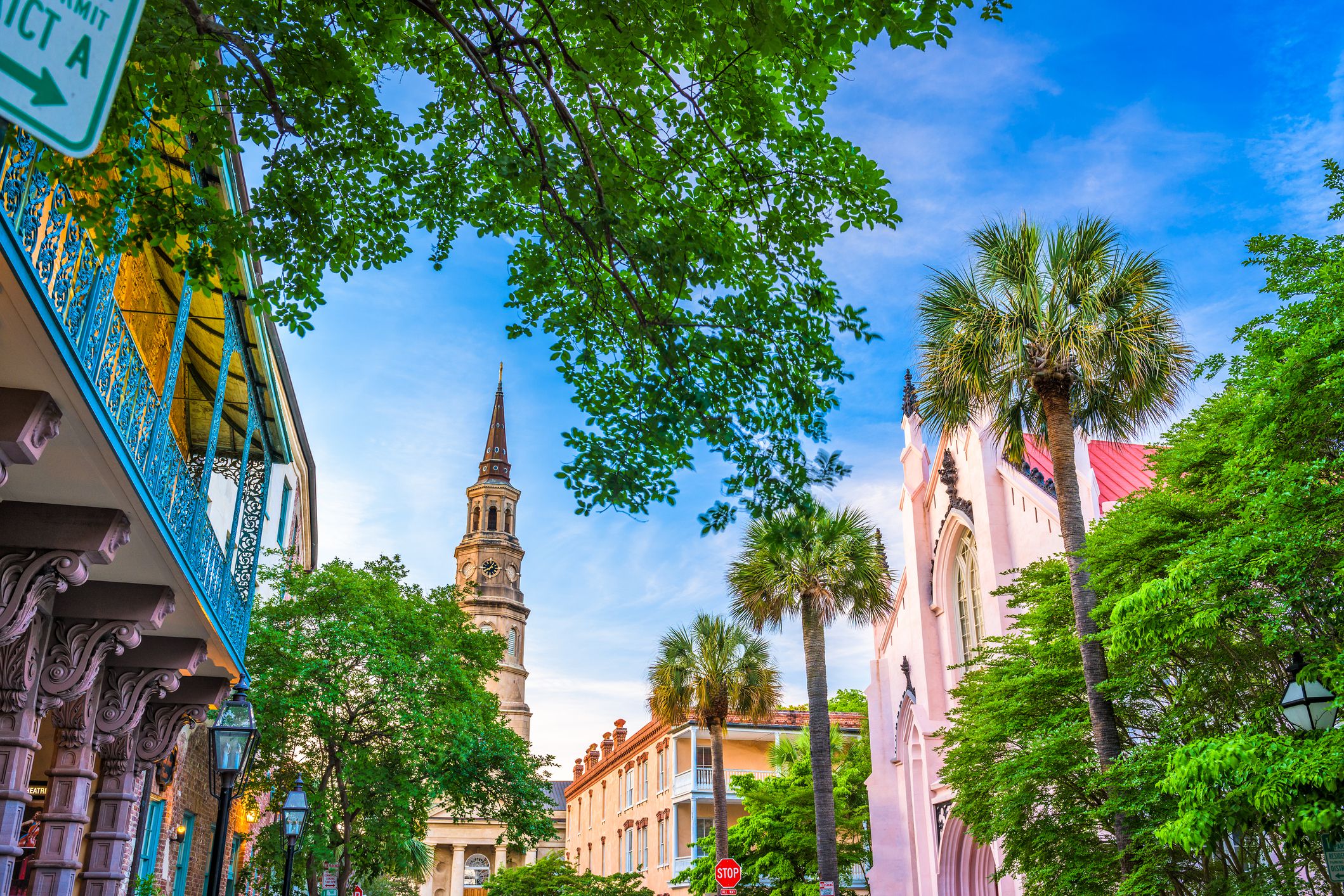 Focus on trees and palms in downtown French Quarter of Charleston, South Carolina during a sunny day