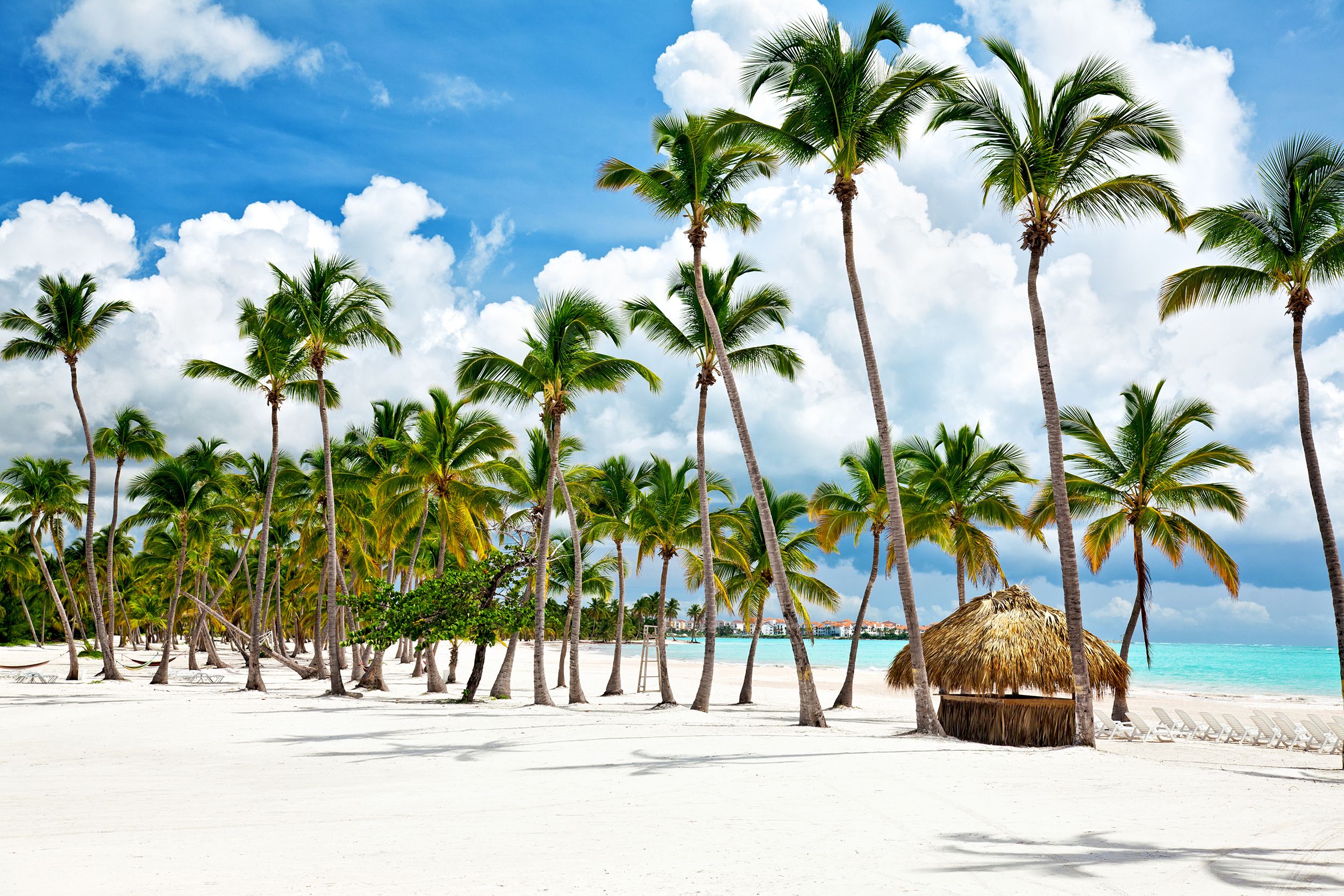 Empty white sand beach at Punta Cana, Dominican Republic, lined with palm trees on a sunny day with turquoise water in the background