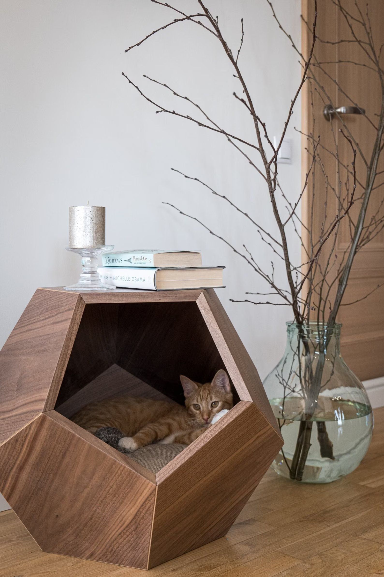 Geometric Indoor Dog or Cat House
