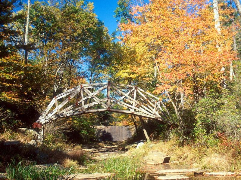 Prince William Forest National Park, Virginia