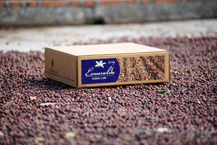 hacienda la esmeralda coffee