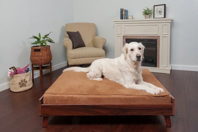 Woven Platform Dog Bed