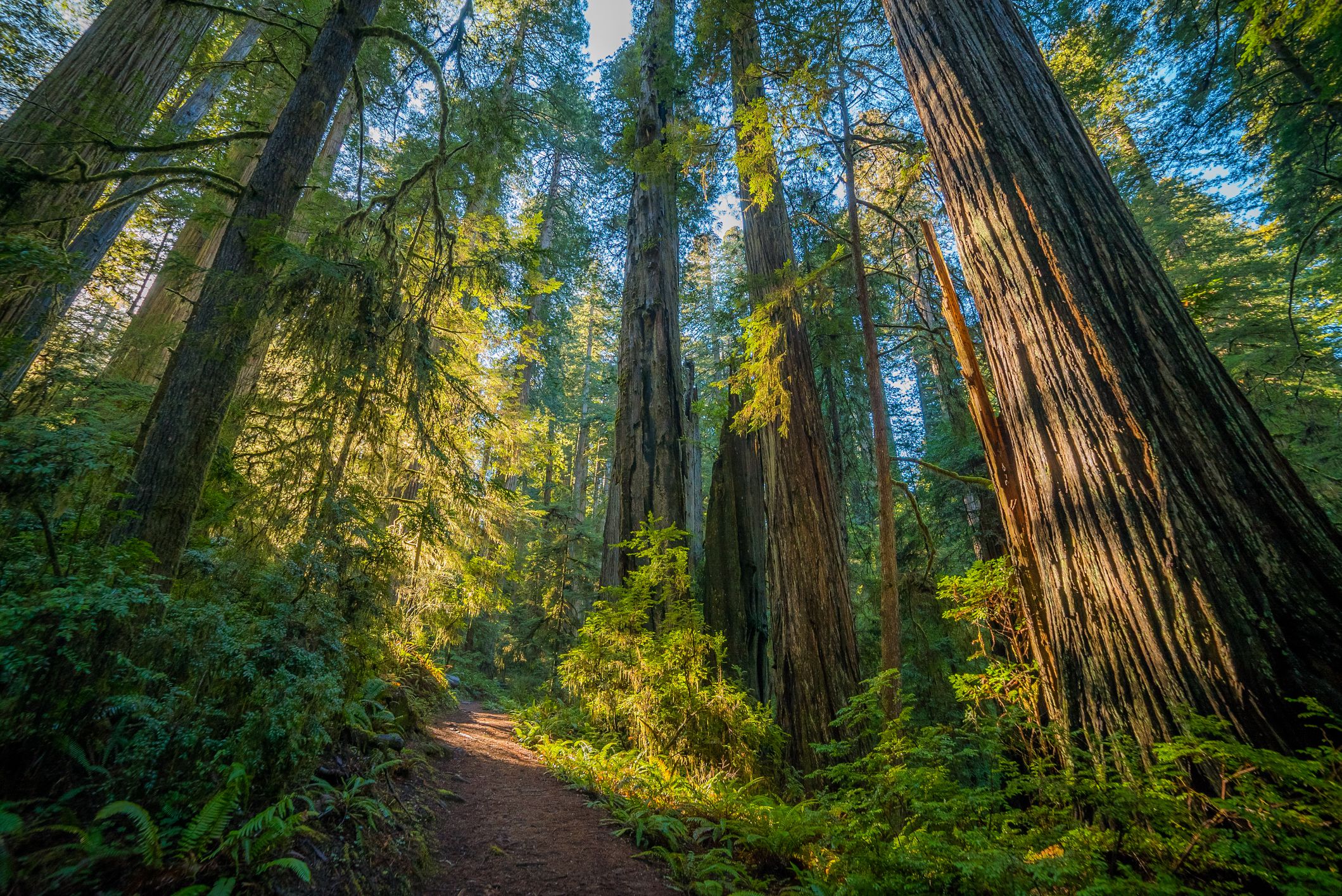 Best National Parks Activities that Require Reservations