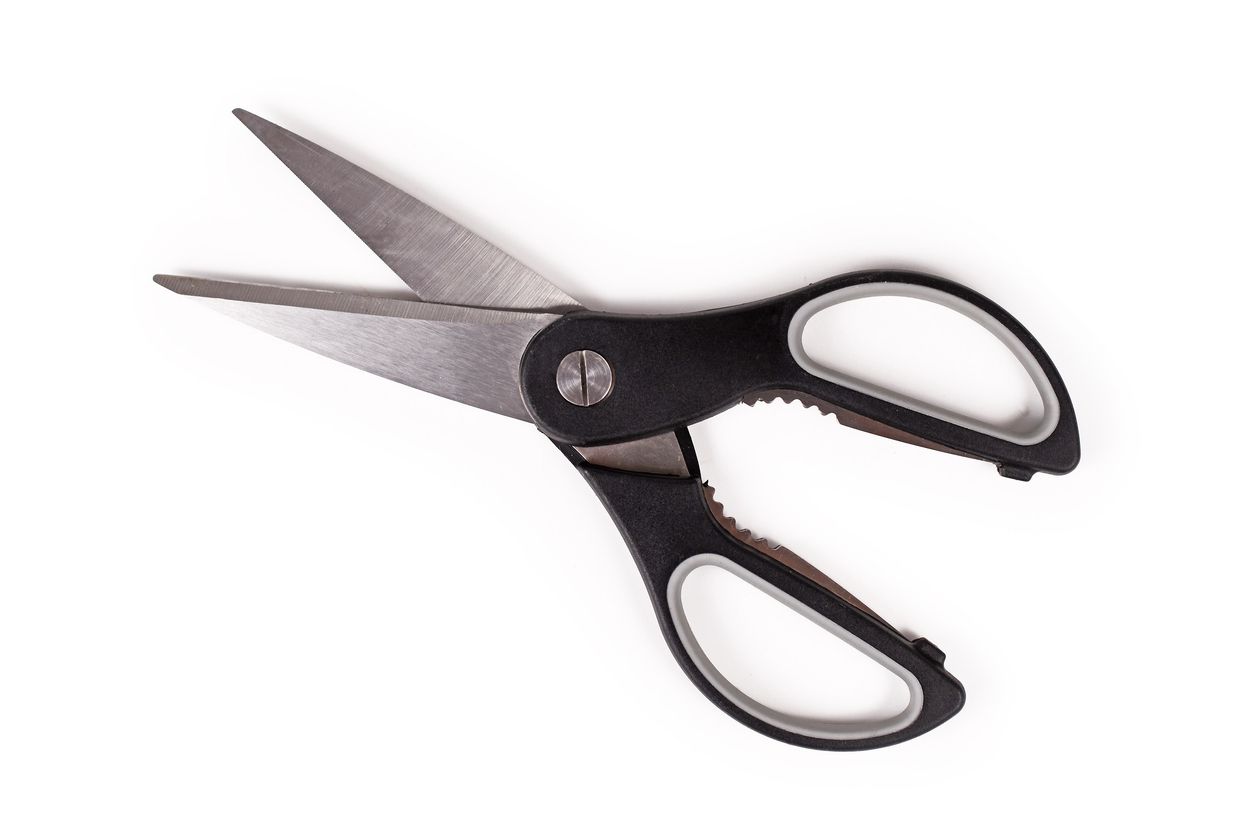 Kitchen Shears