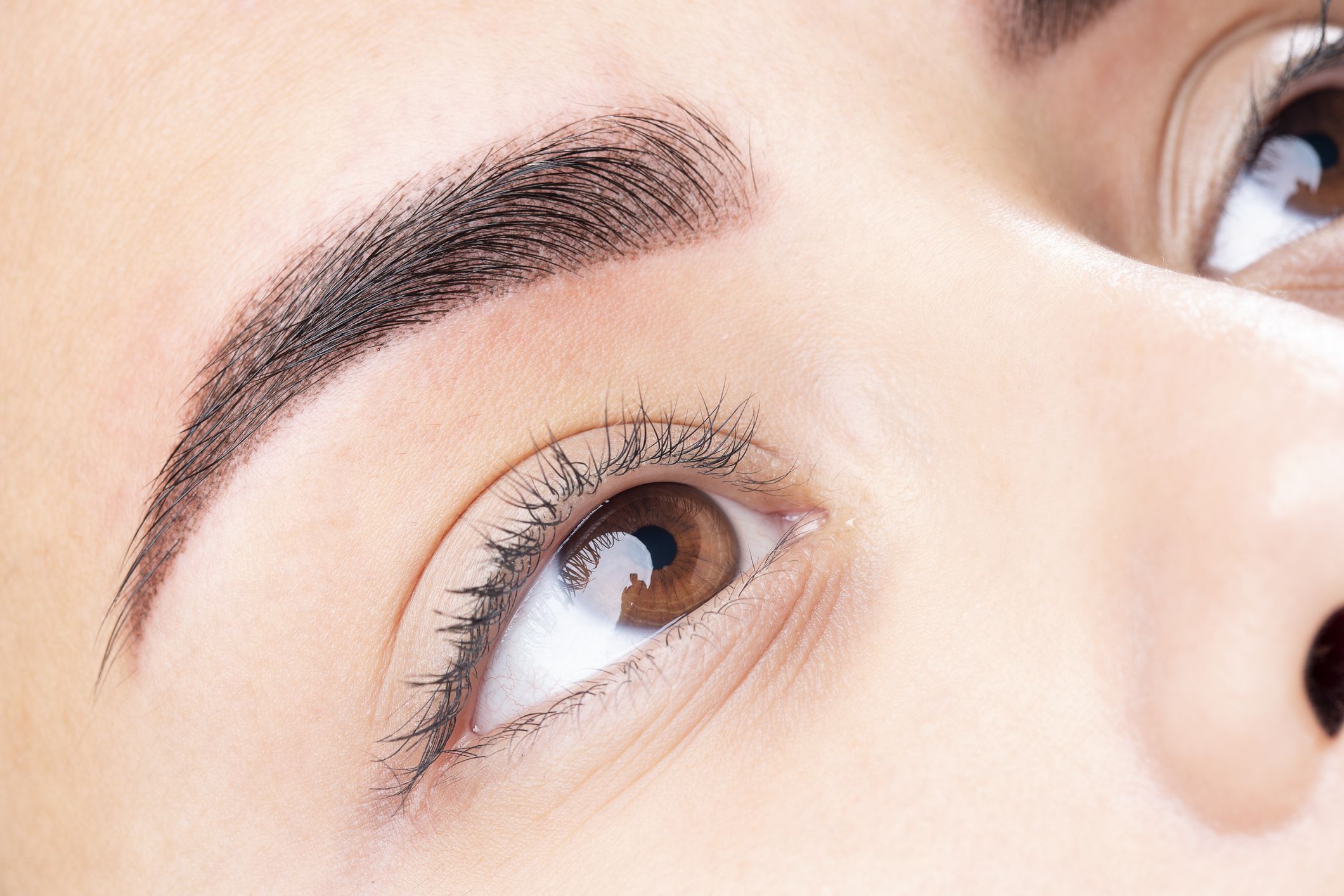Beautiful young woman in beauty salon on eyebrow makeup treatment. Beautician doing eyebrows tattooing.