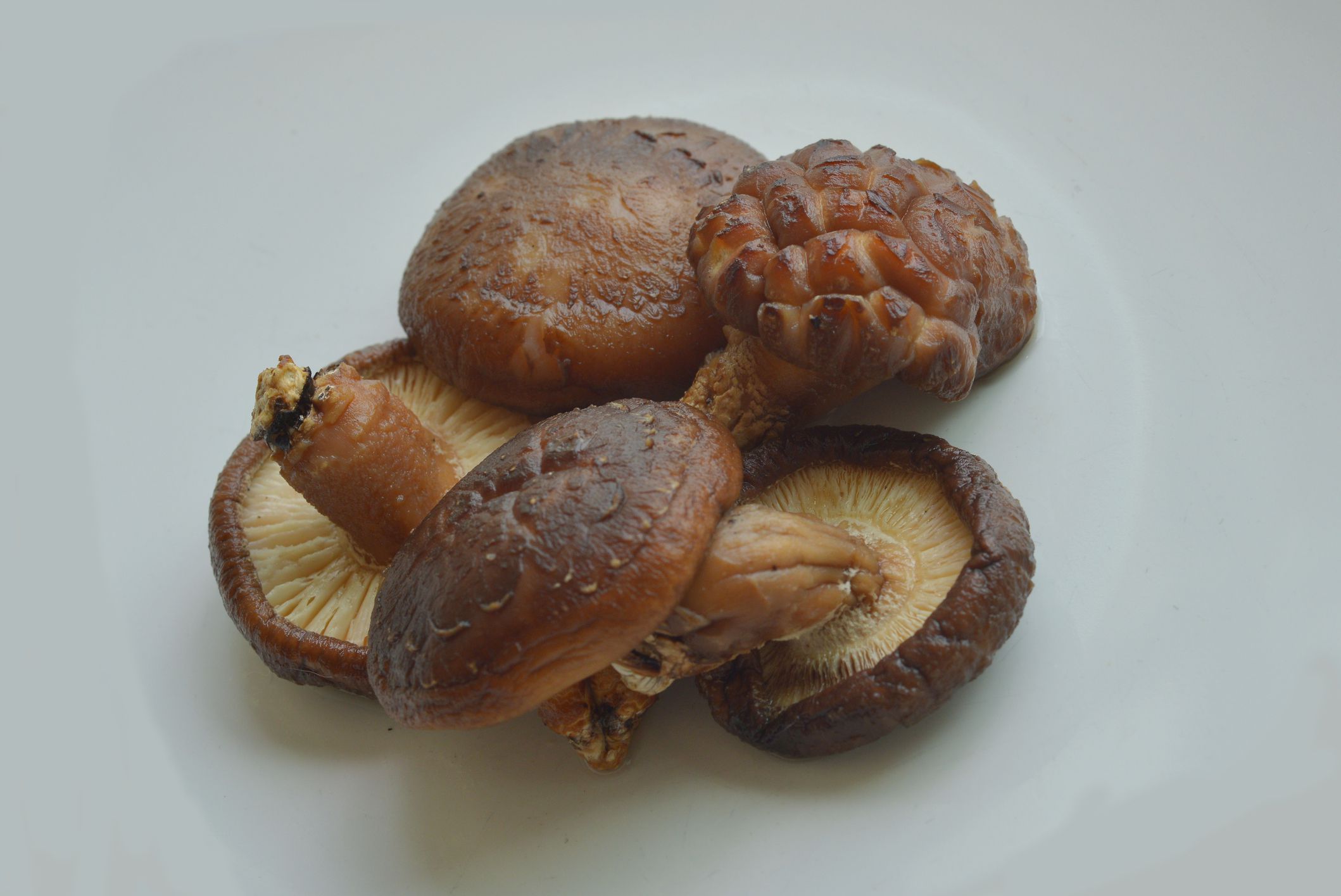 The shiitake (Lentinula edodes) is an edible mushroom native to East Asia, which is cultivated and used in Chinese cooking and other Asian cuisines