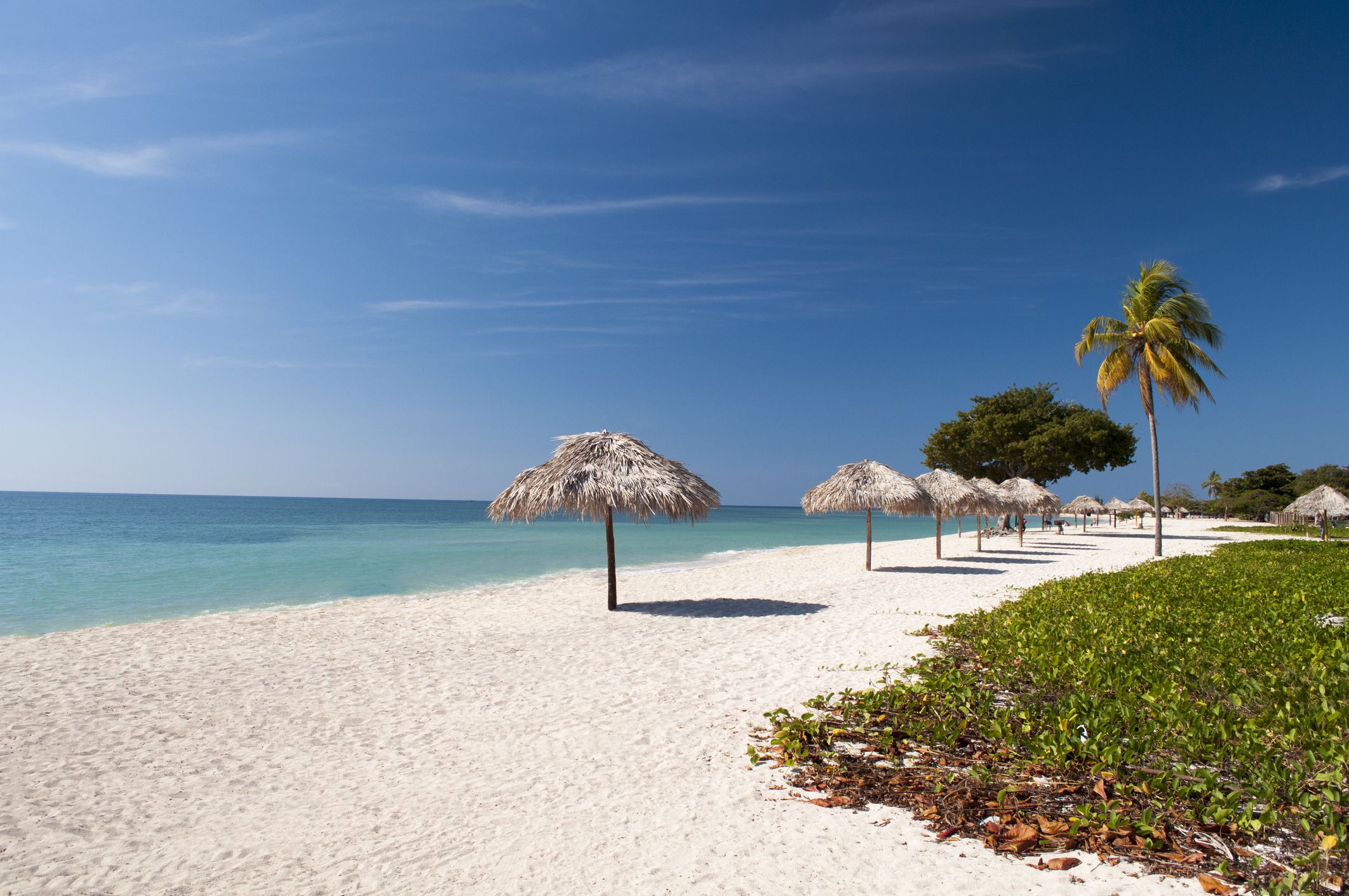 Beautiful Deserted beach with palm trees and sand.