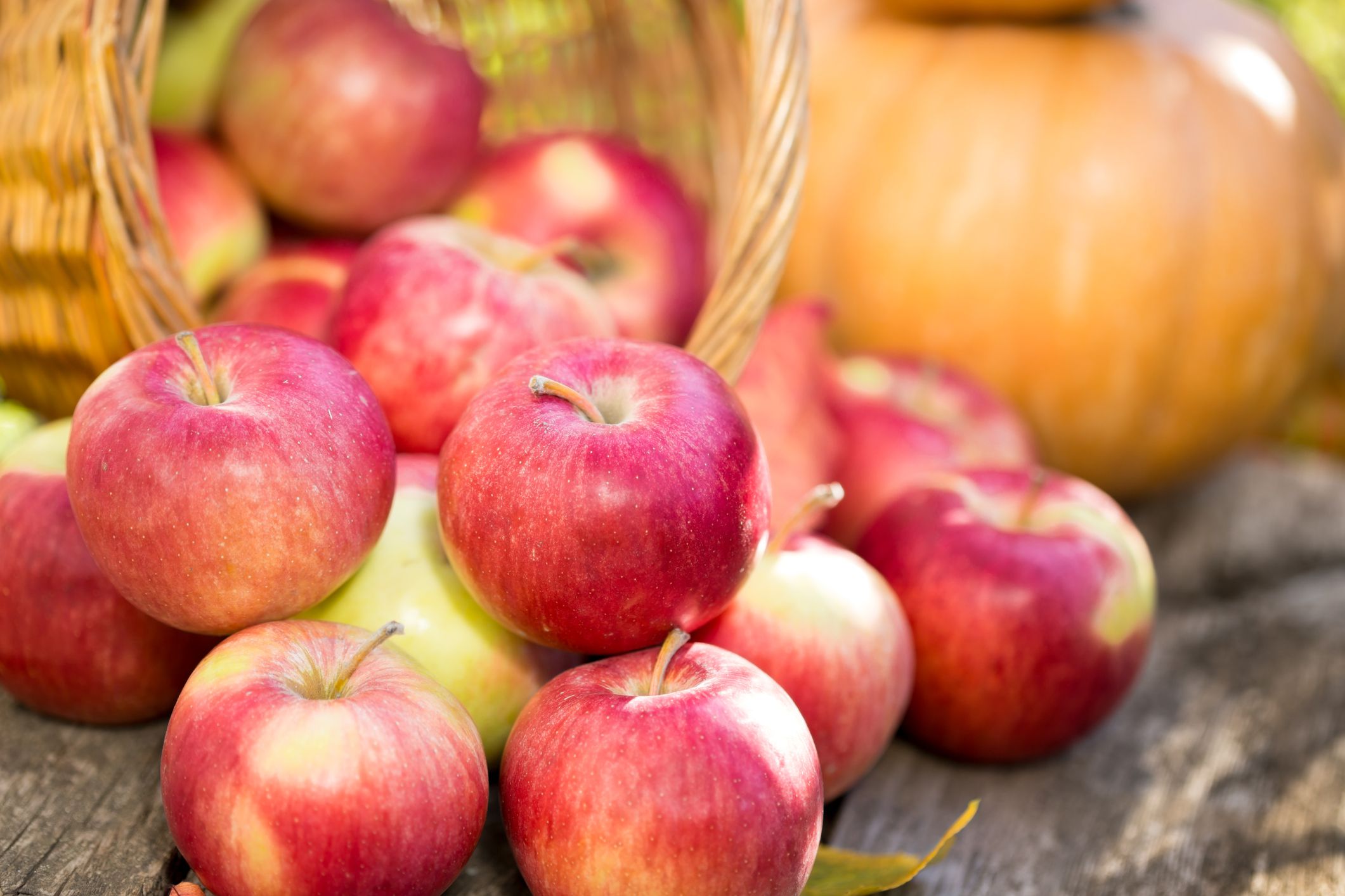 apples and pumpkin