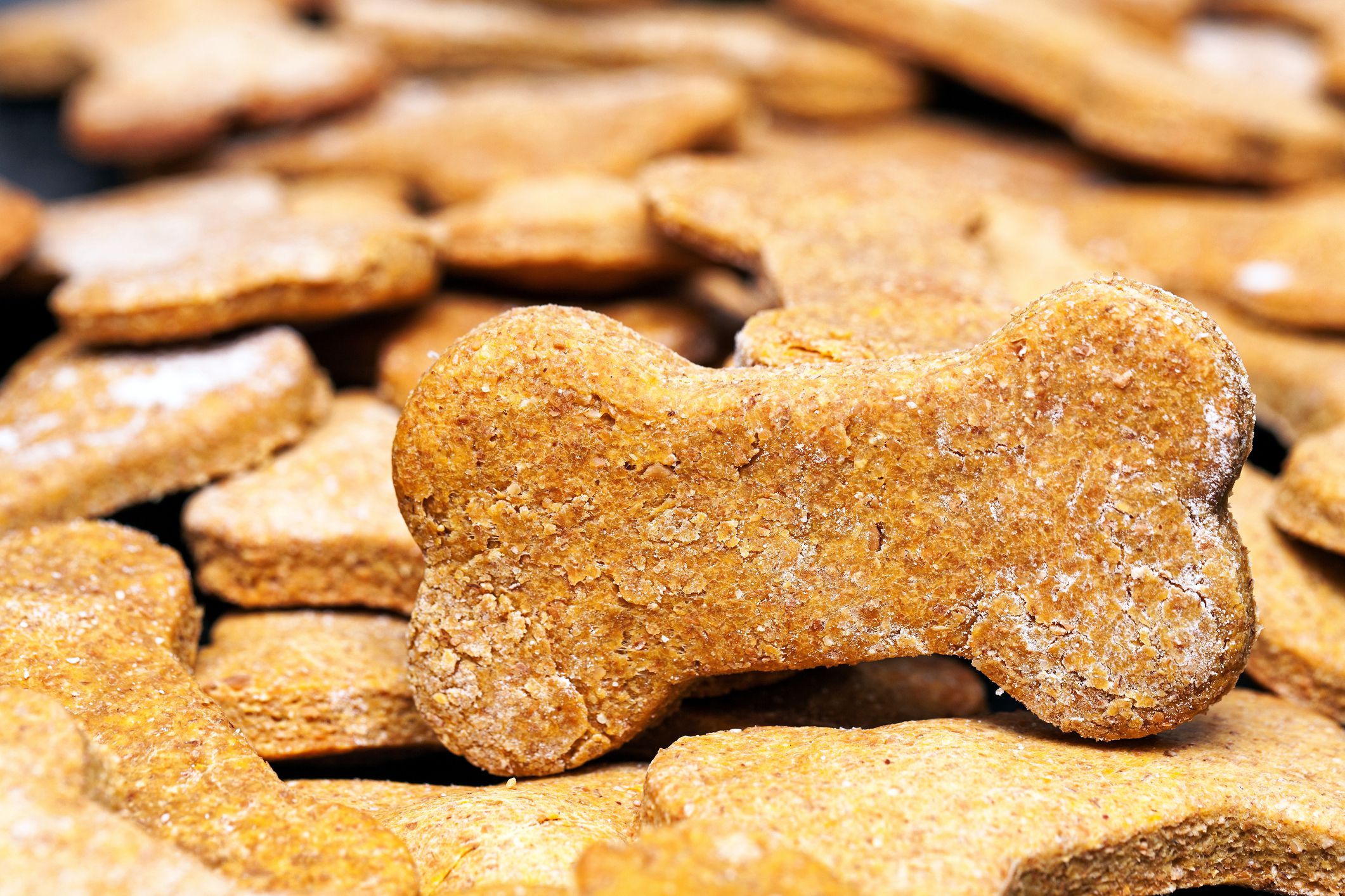 peanut butter dog treats
