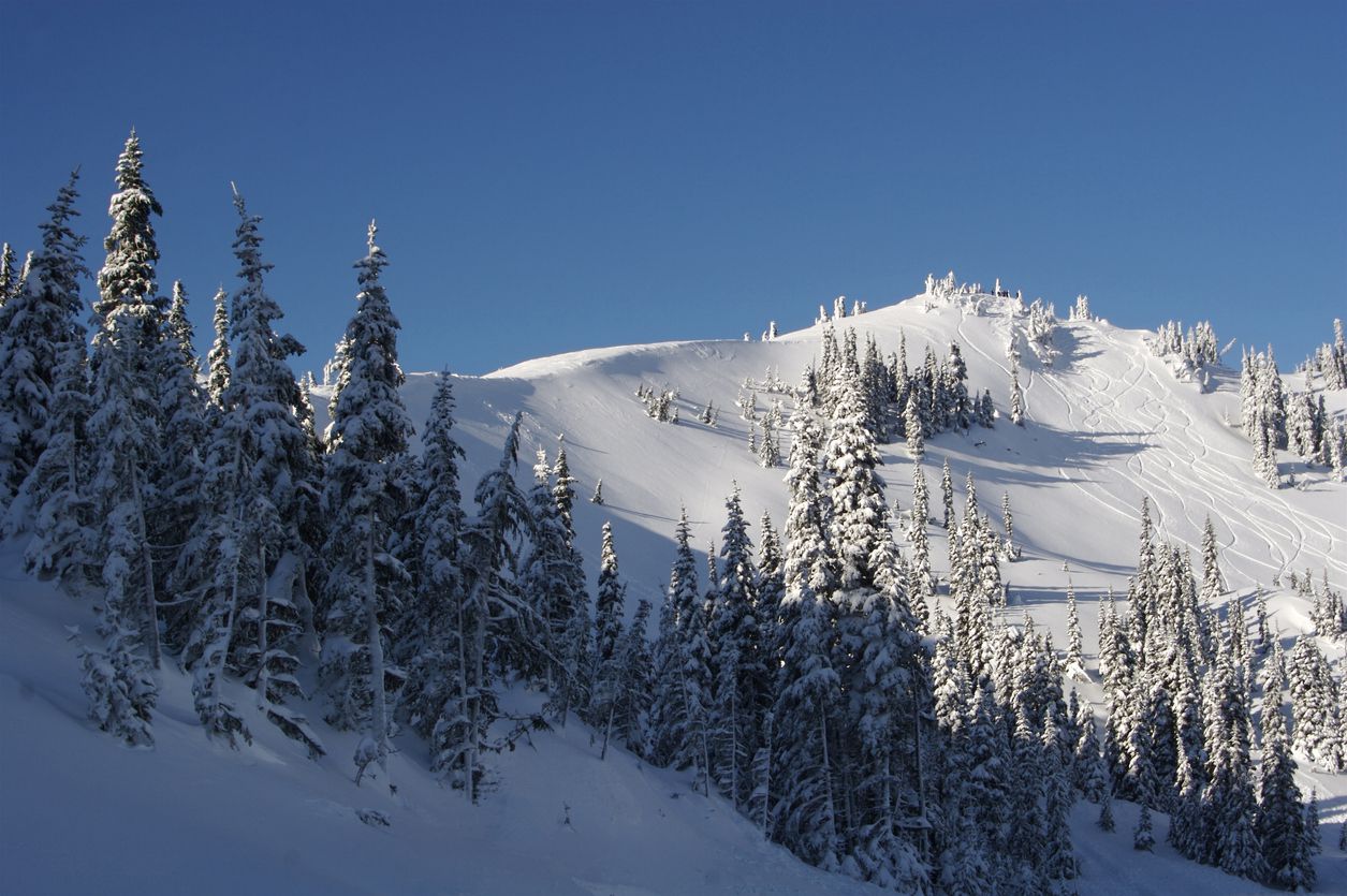 Skiing Ridge in Olympic National Park