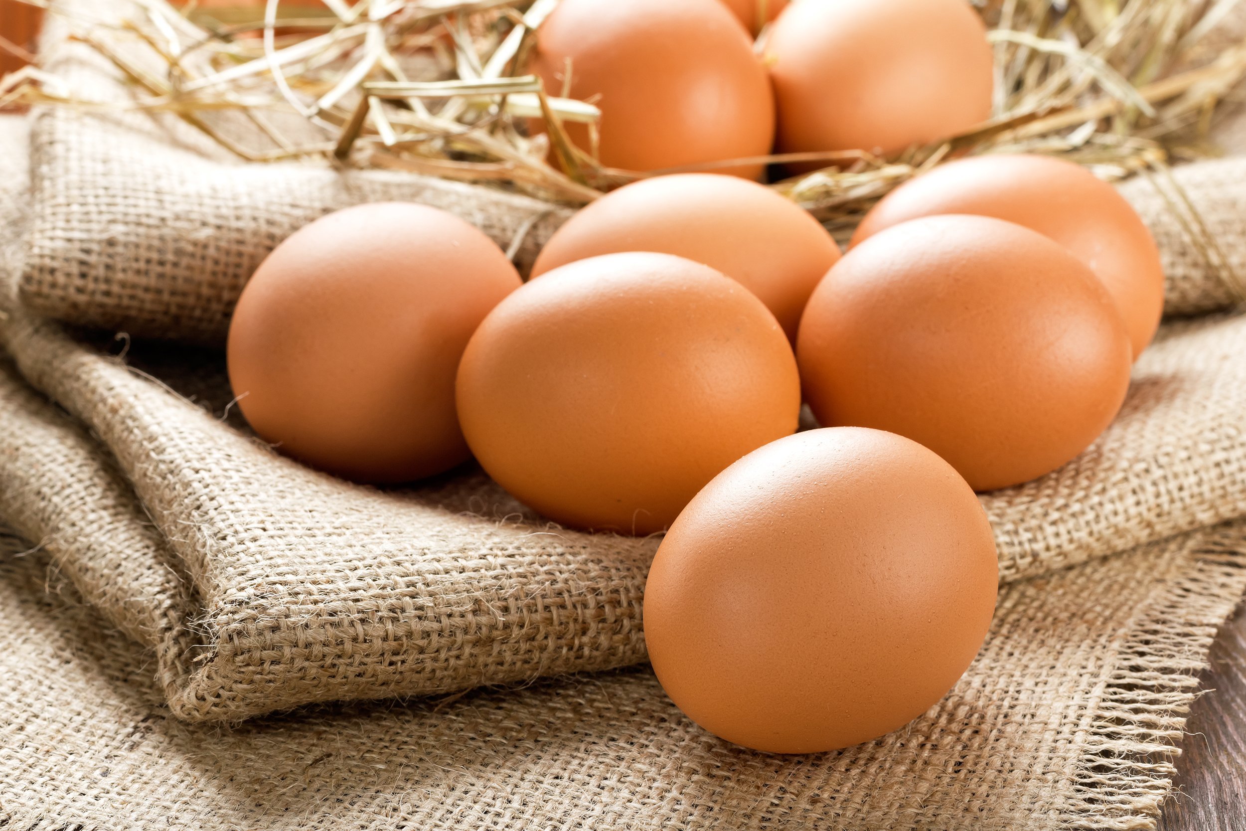 eggs on bag