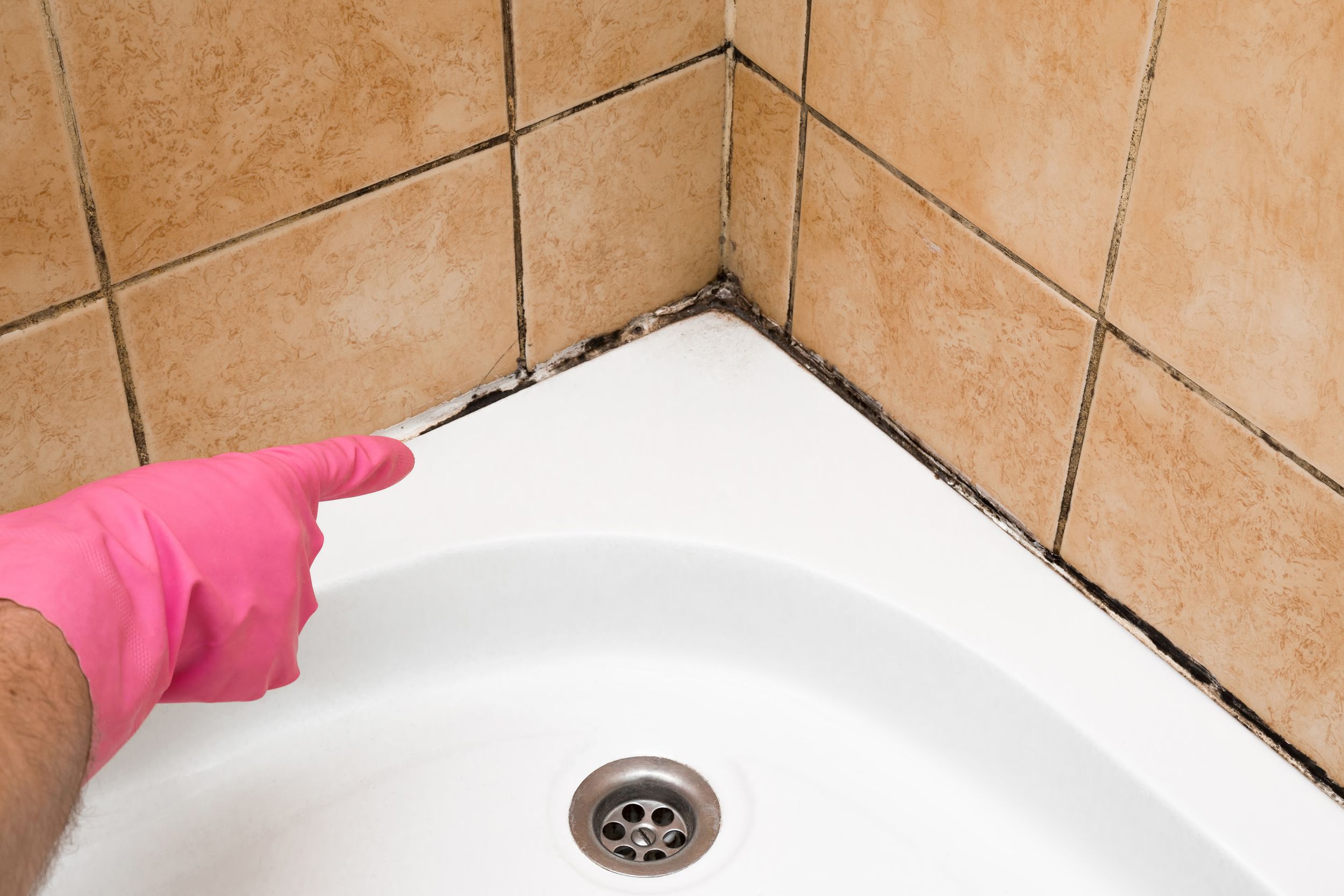 hand in rubber protective glove pointing to the mold in the shower cabin corner