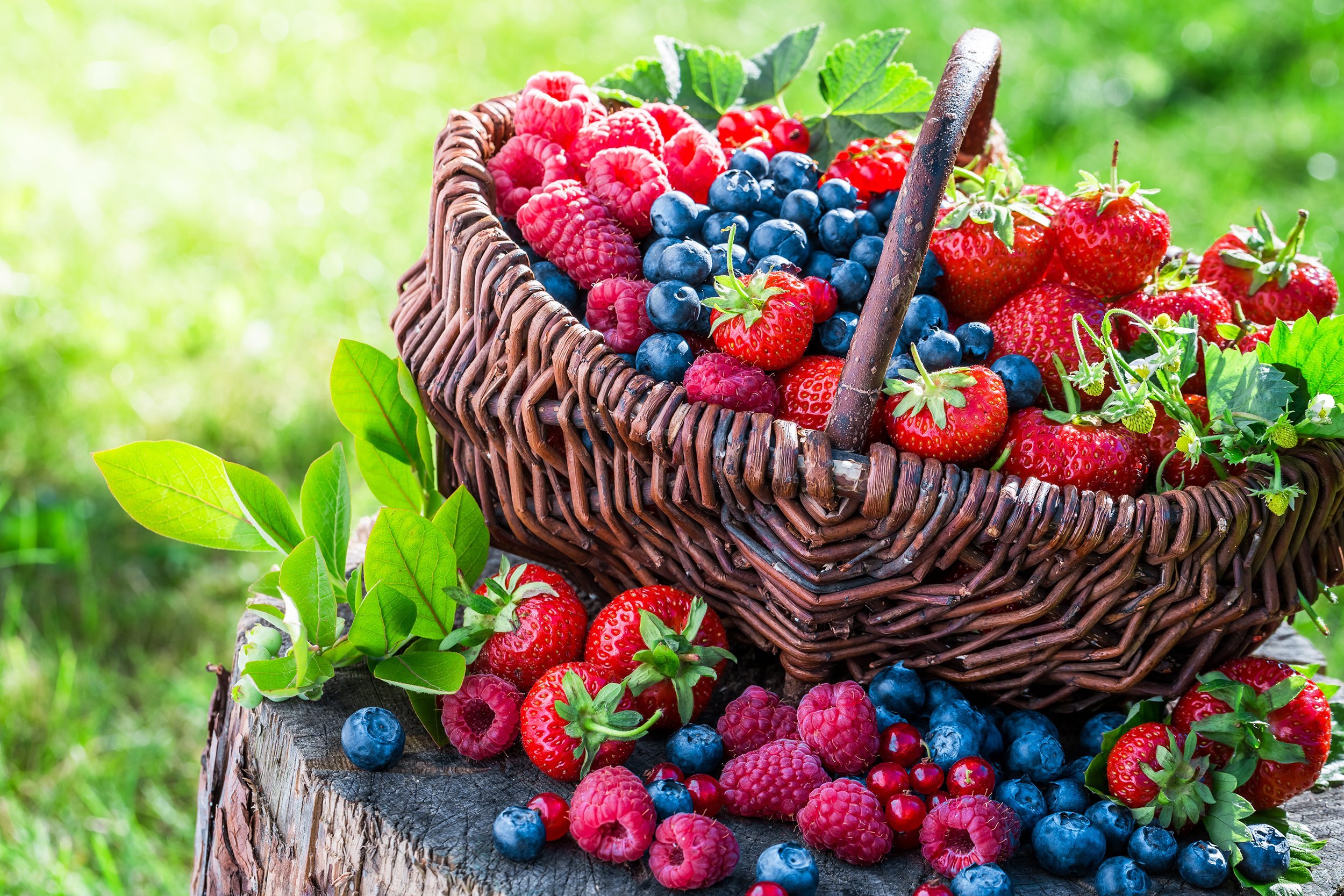 berries in basket outside