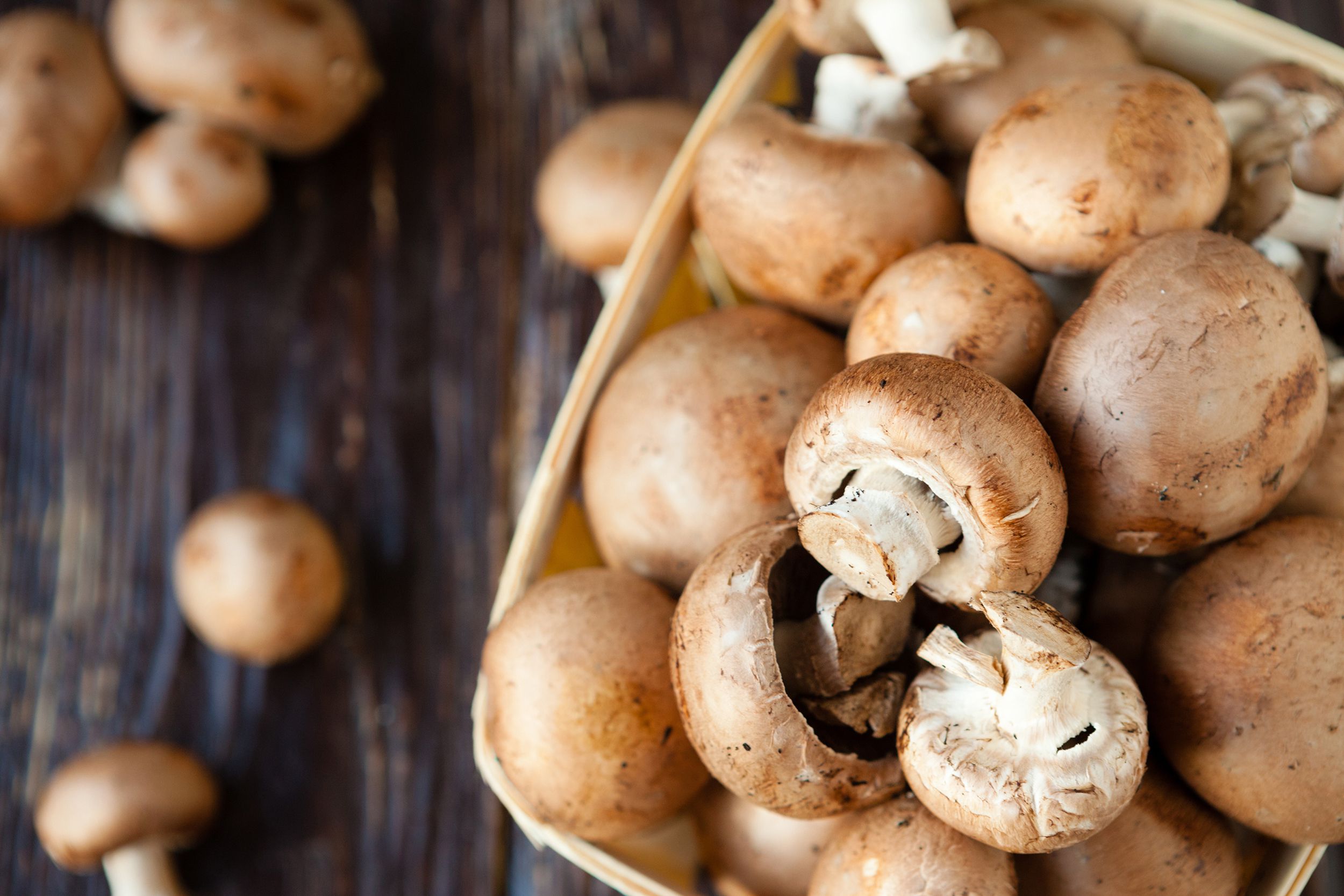Closeup of champignon mushrooms in a basket on a dark wooden table with scattered champignon mushrooms